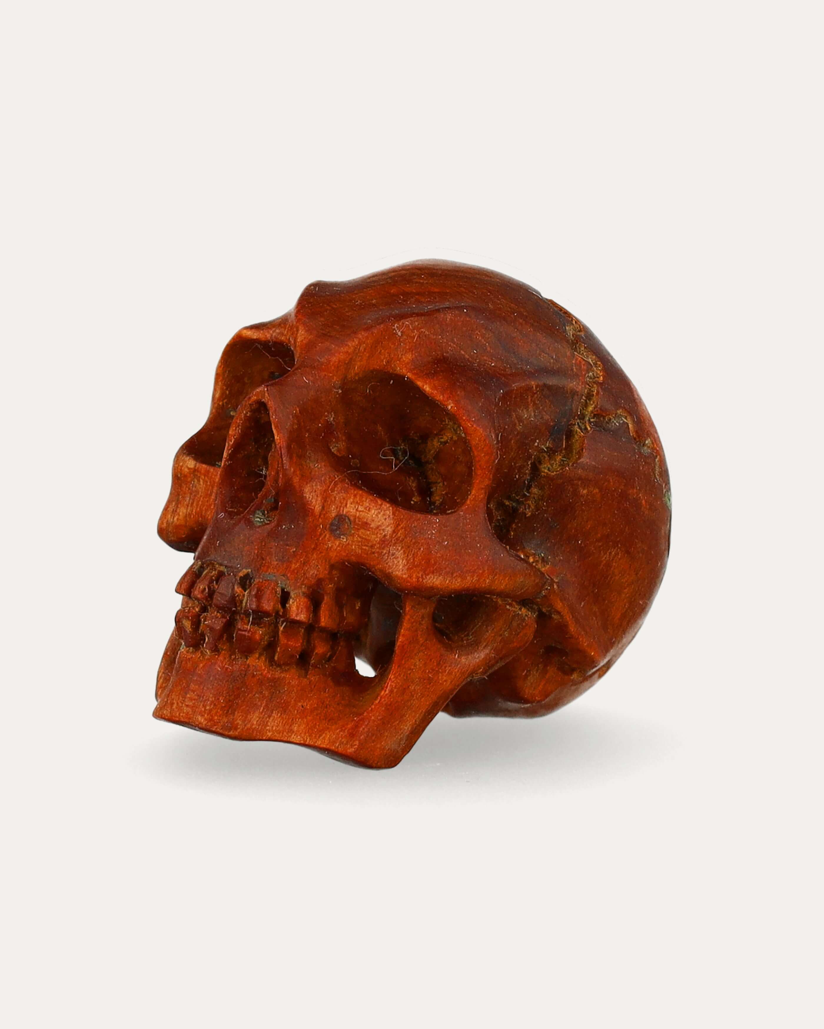 Thuya Wood Skull