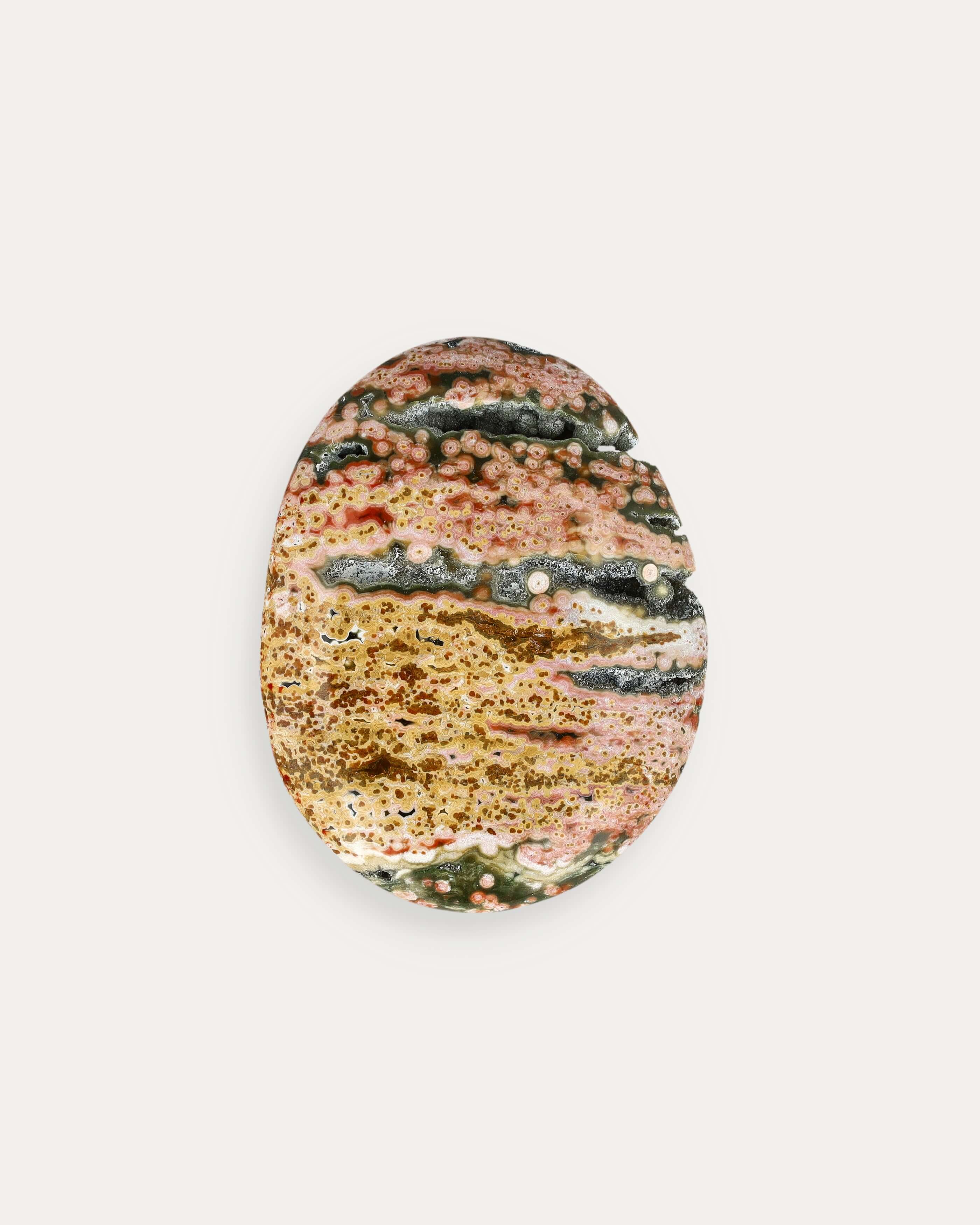 Ocean Jasper Palm