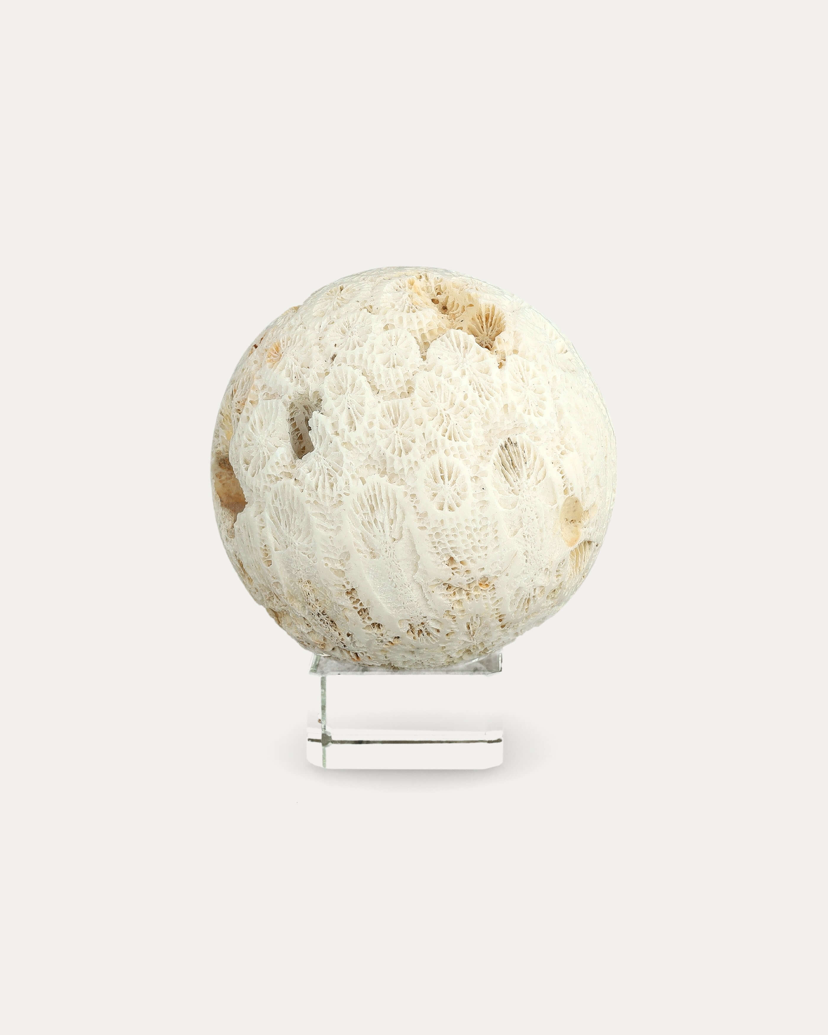 Coral Sphere