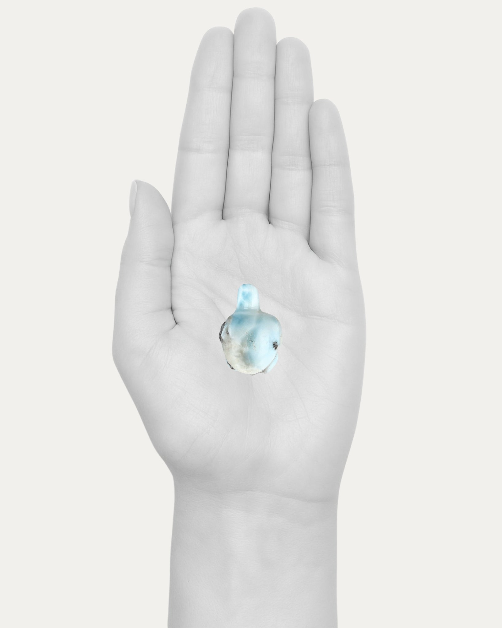 Larimar Turtle - 33C