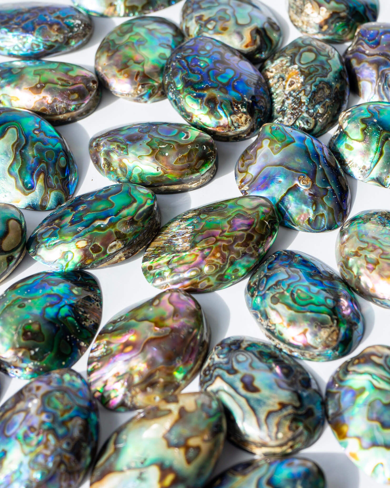Paua Abalone Shell Healing Crystal