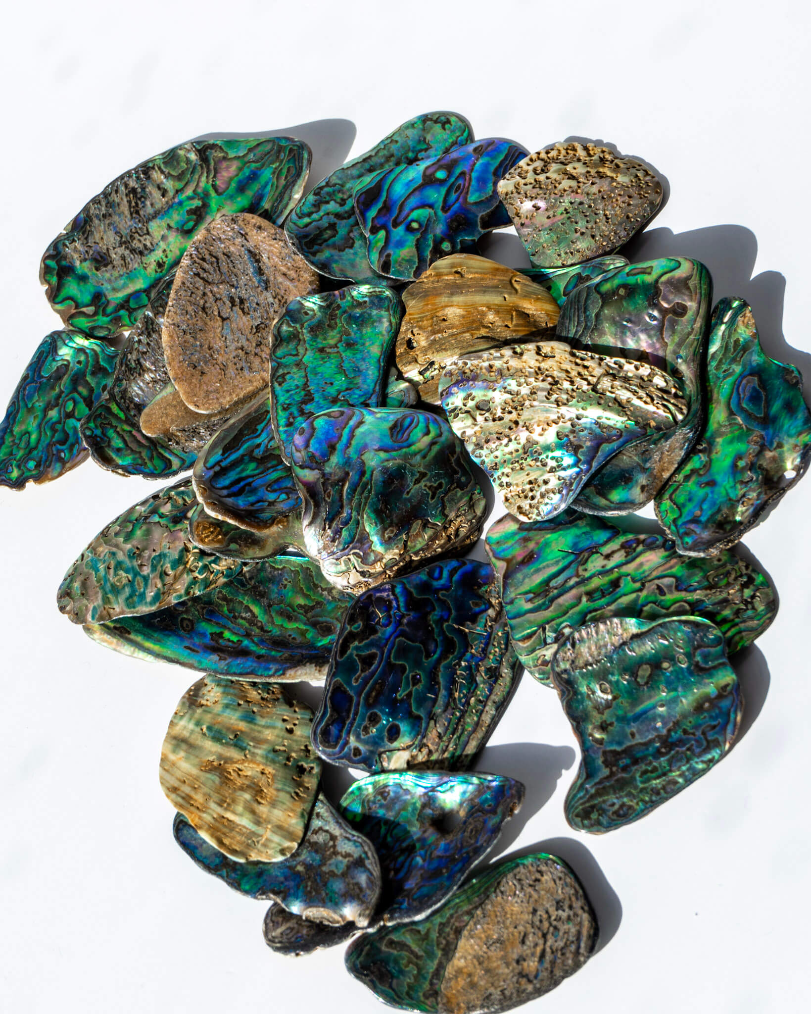 Paua Abalone Shell Tumble Healing Crystal