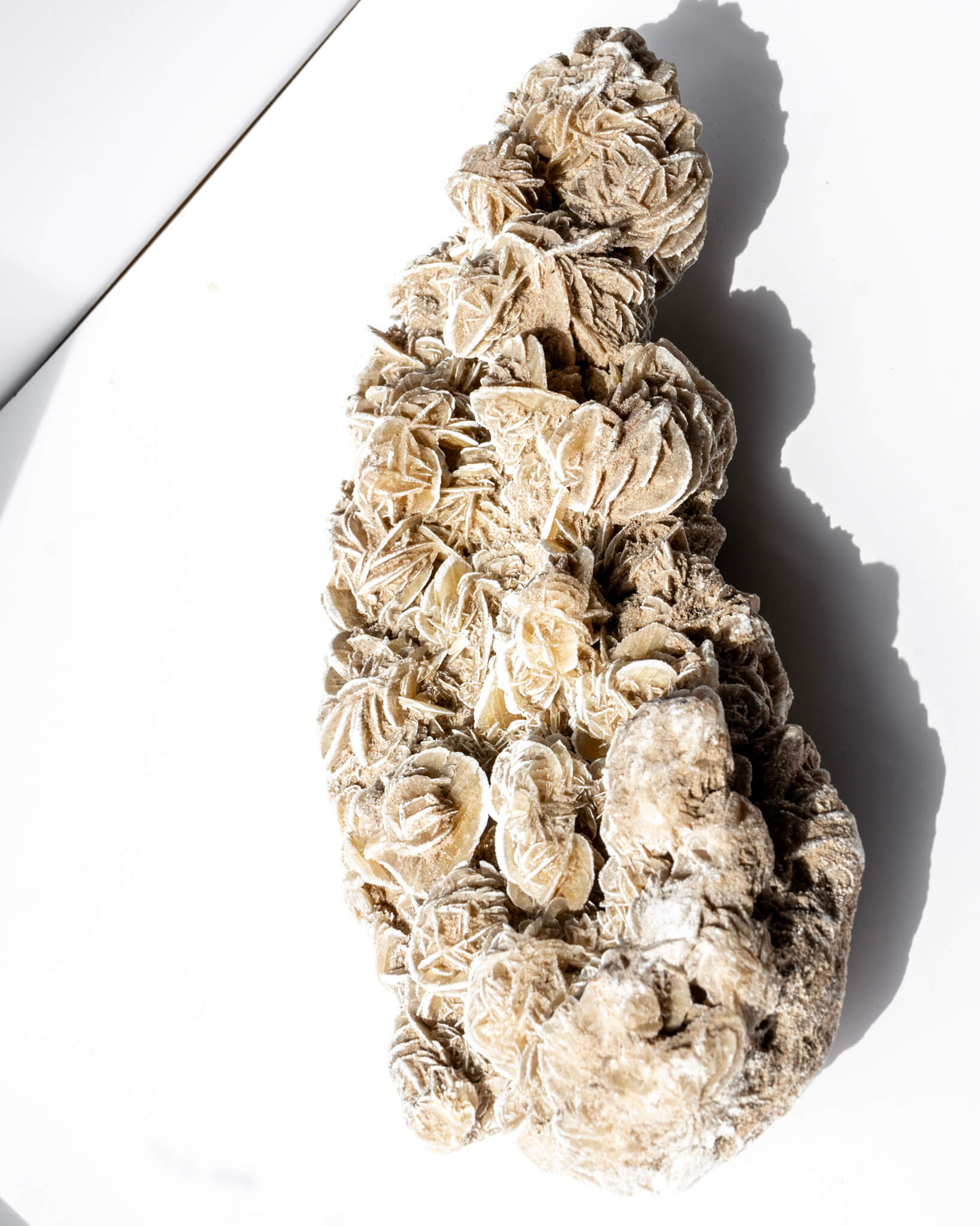 Desert Rose Cluster Healing Crystal