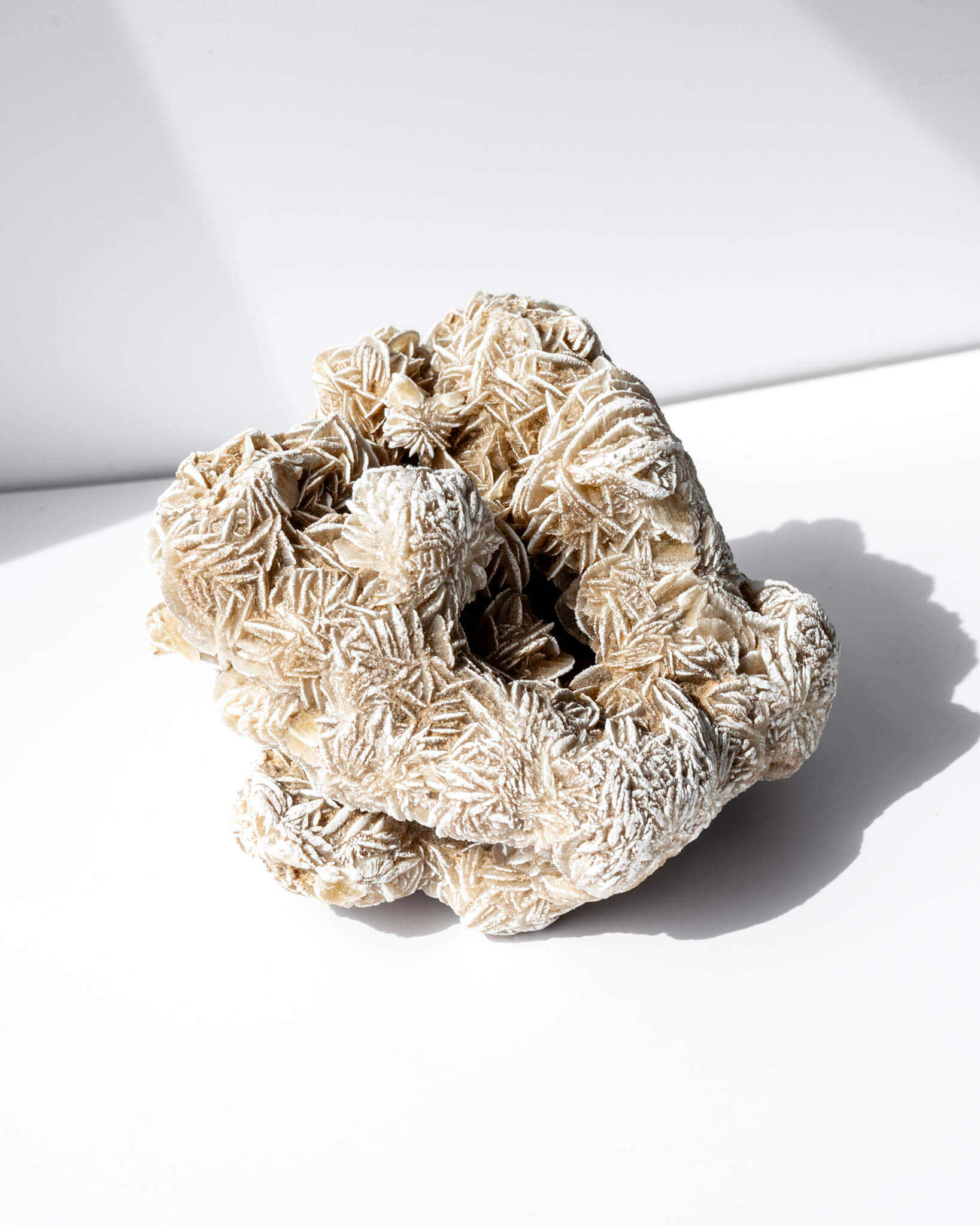 Desert Rose Cluster Healing Crystal