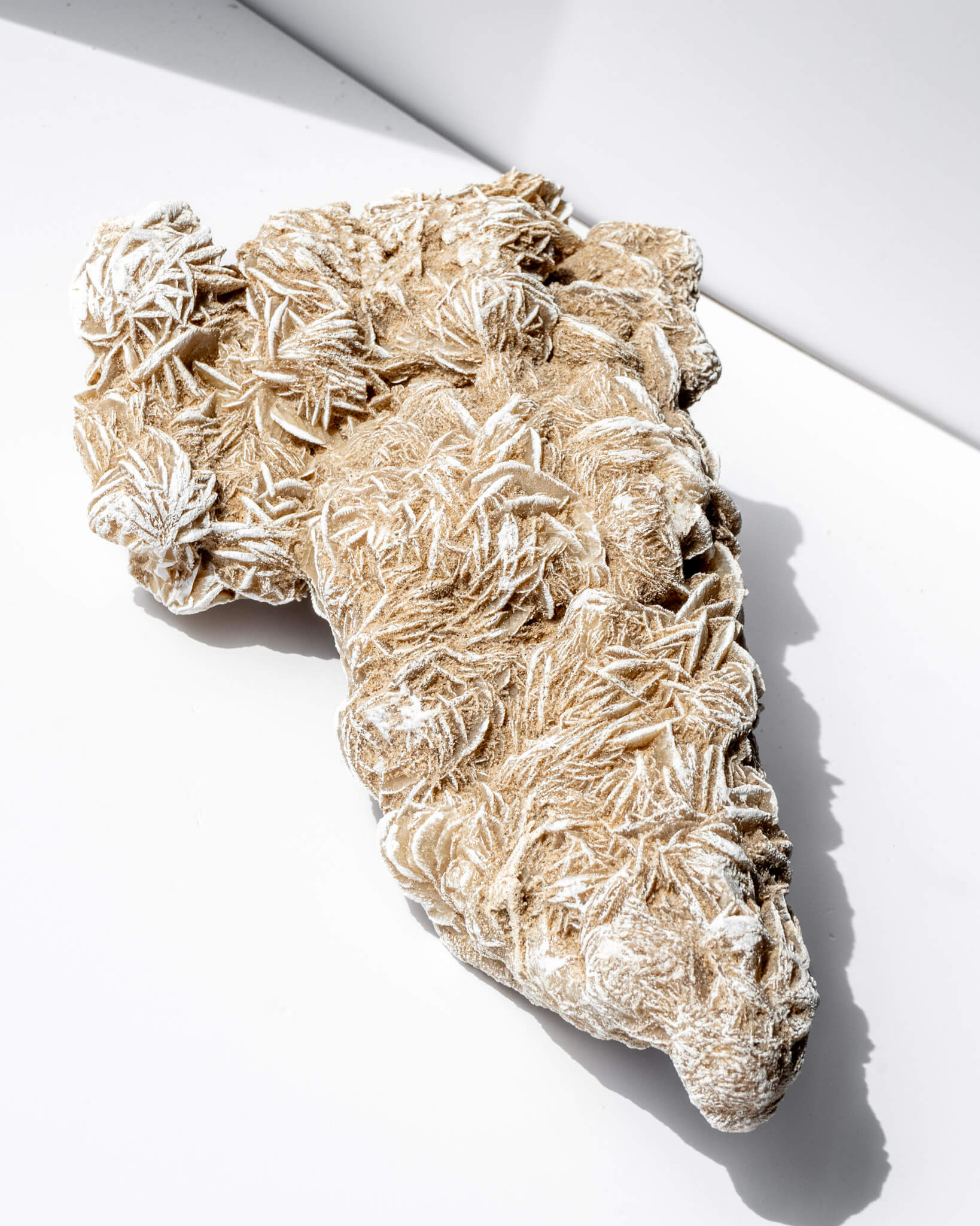 Desert Rose Cluster Healing Crystal