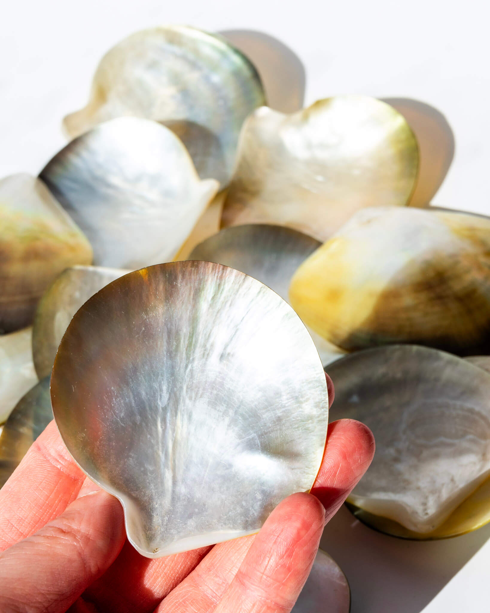 Black Mother of Pearl Shell Healing Crystal