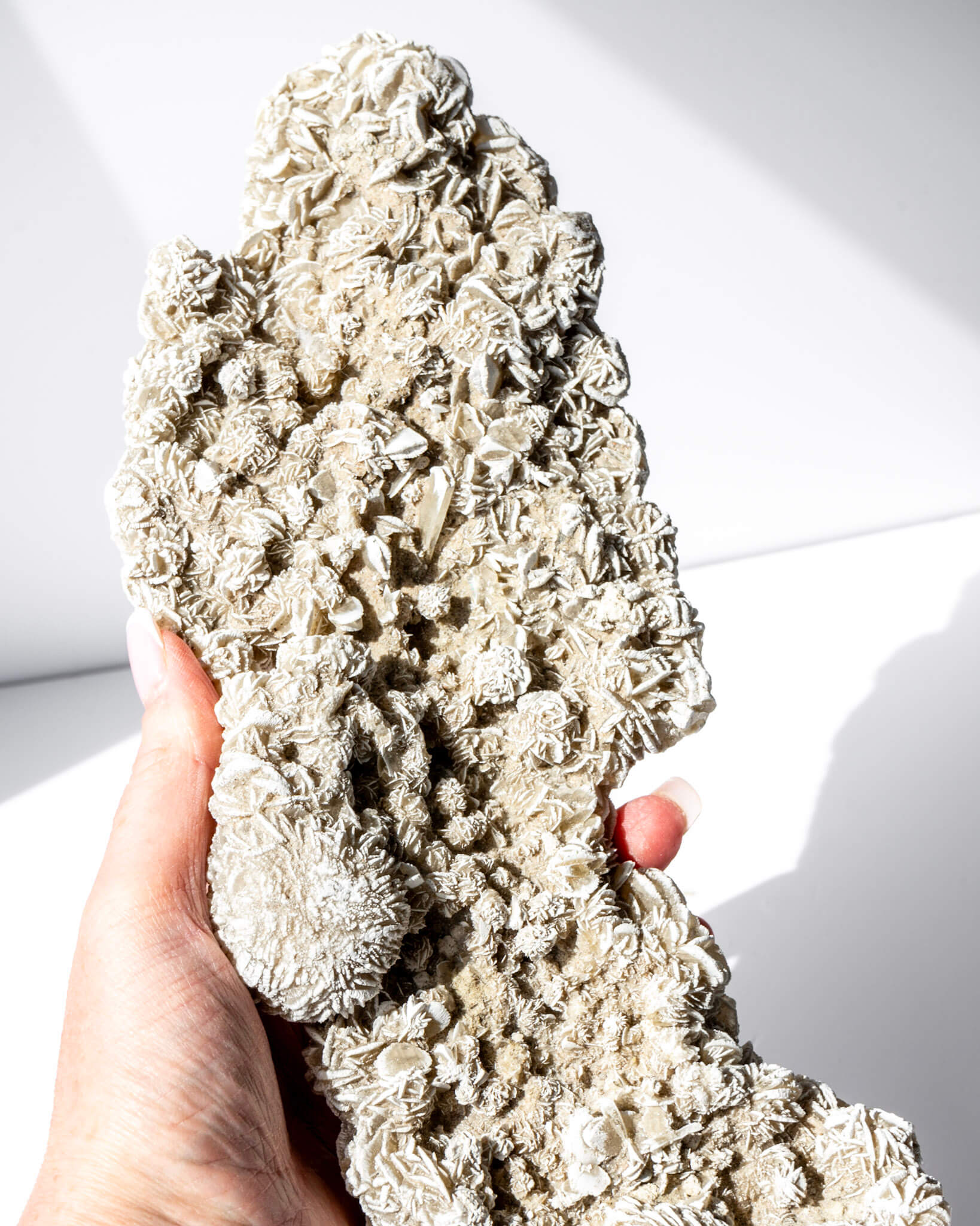 Desert Rose Cluster Healing Crystal