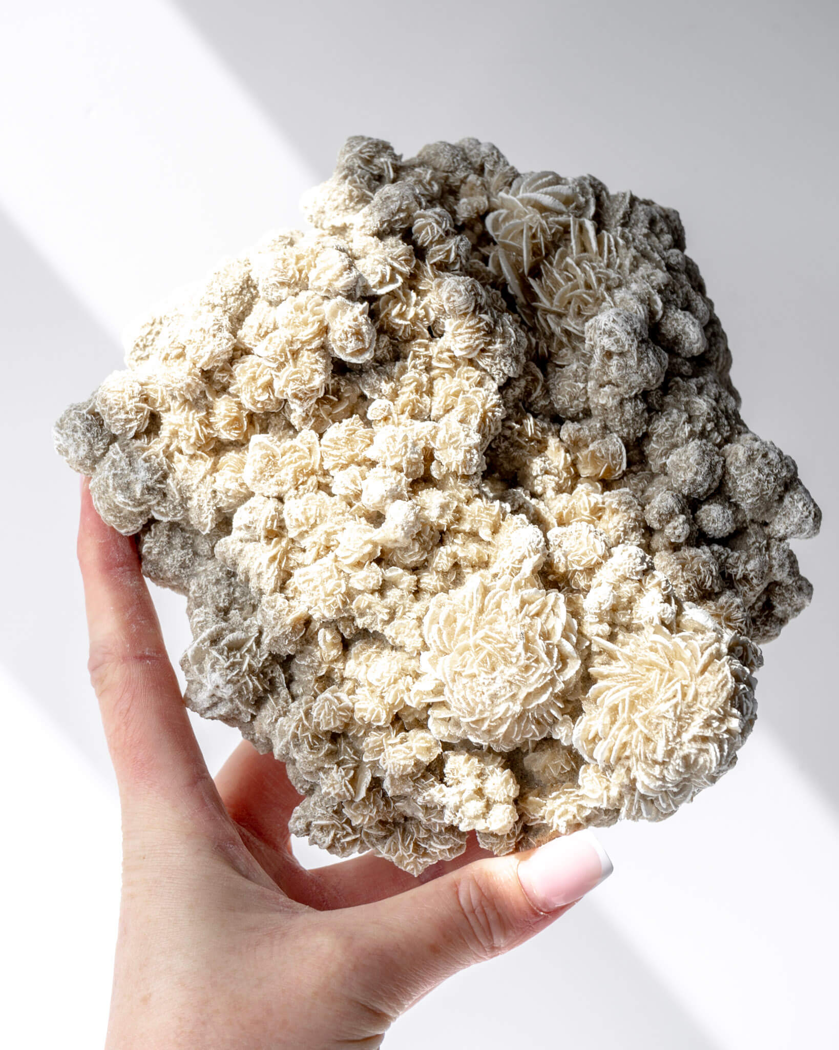 Desert Rose Cluster Healing Crystal