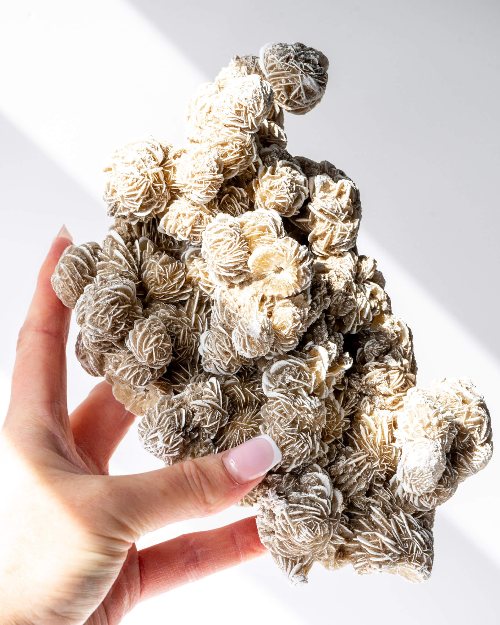 Desert Rose Cluster Healing Crystal