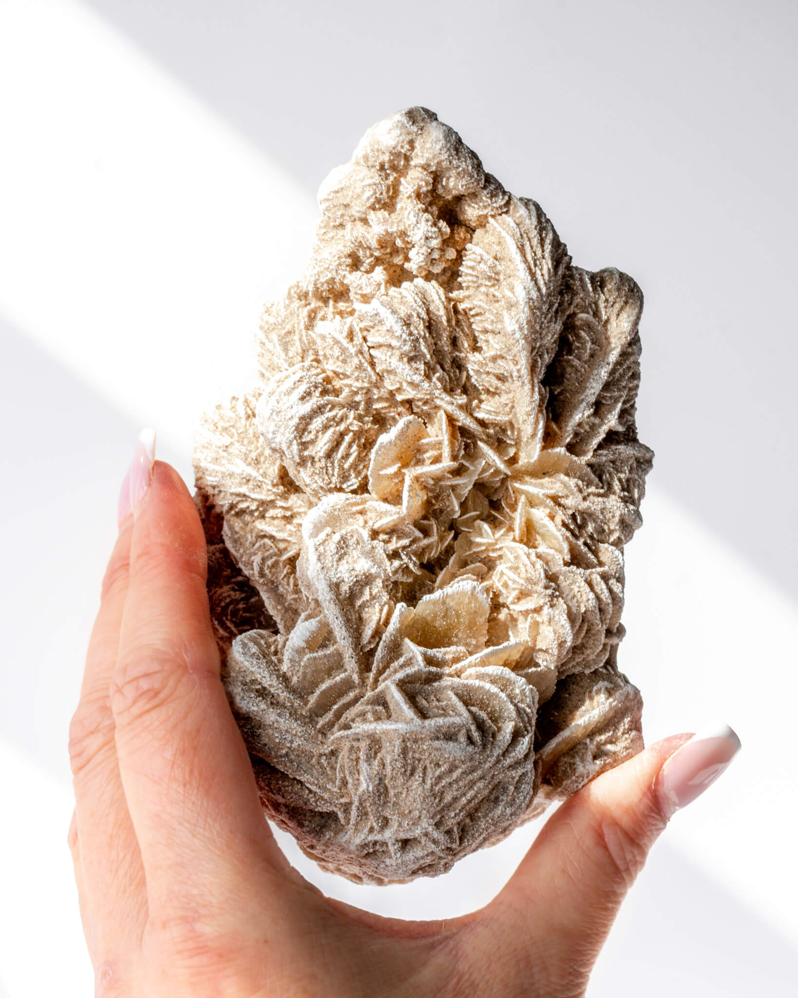 Desert Rose Cluster Healing Crystal