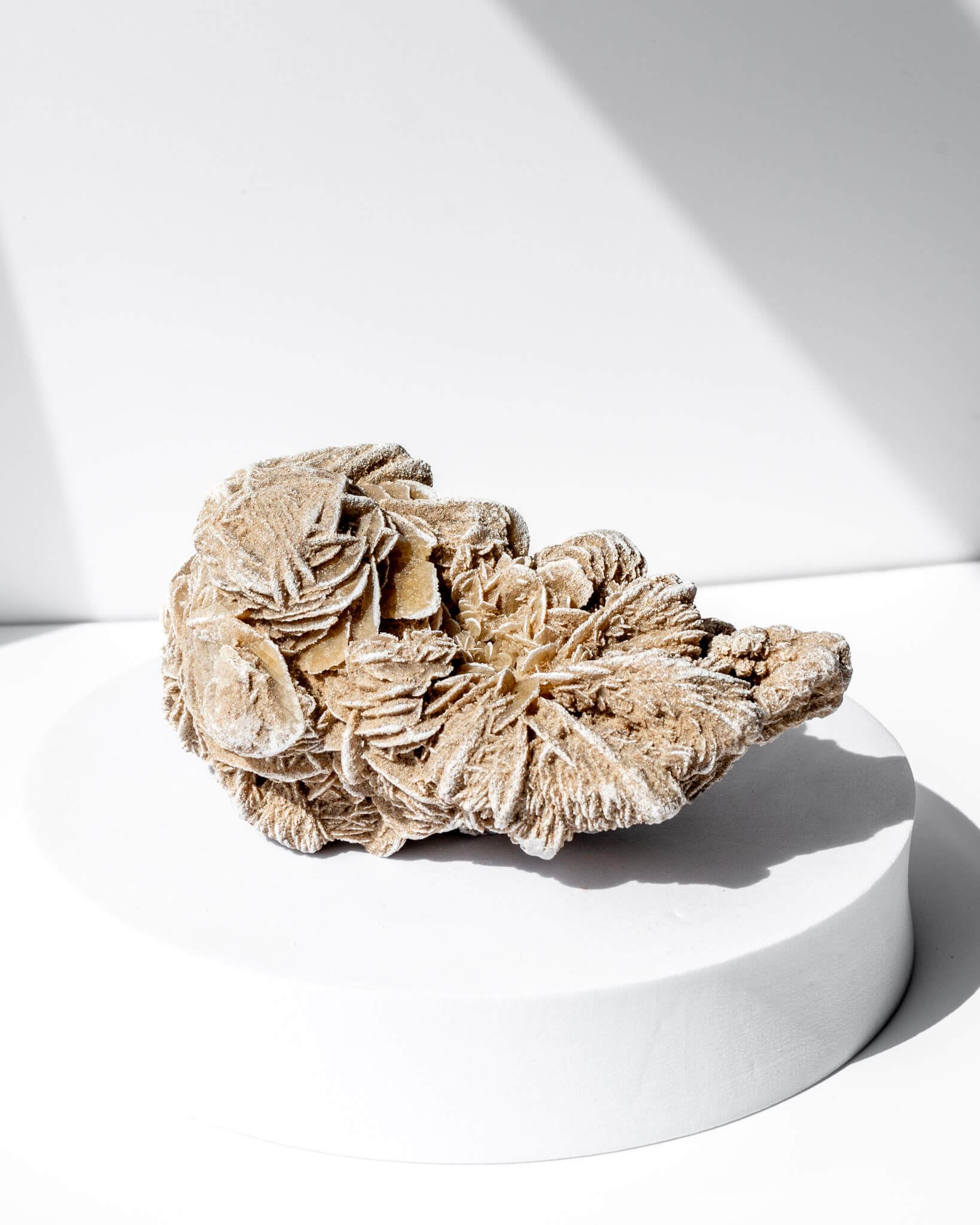 Desert Rose Cluster Healing Crystal