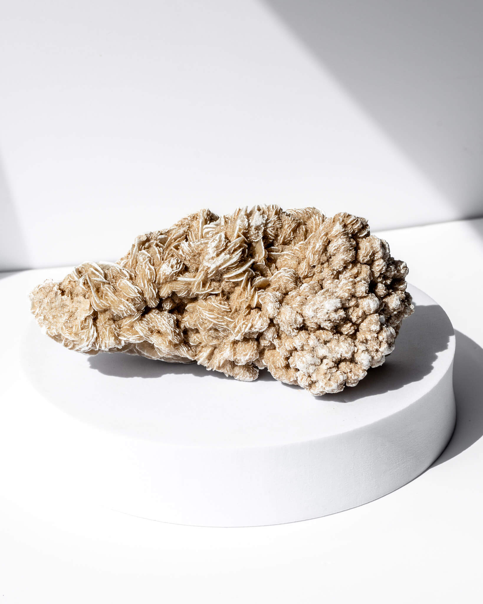 Desert Rose Cluster Healing Crystal