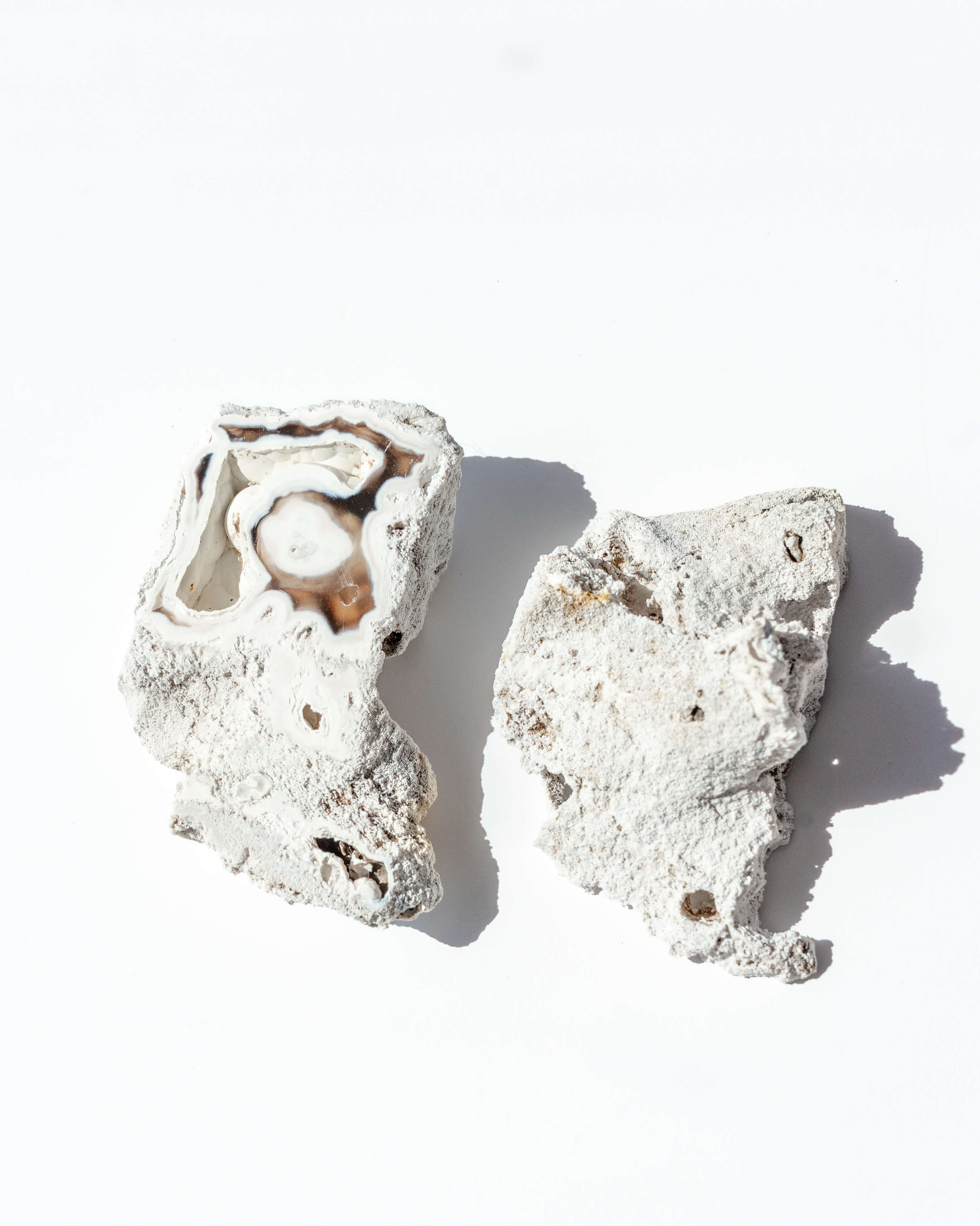 Agatized Coral Geode Pair - 34A