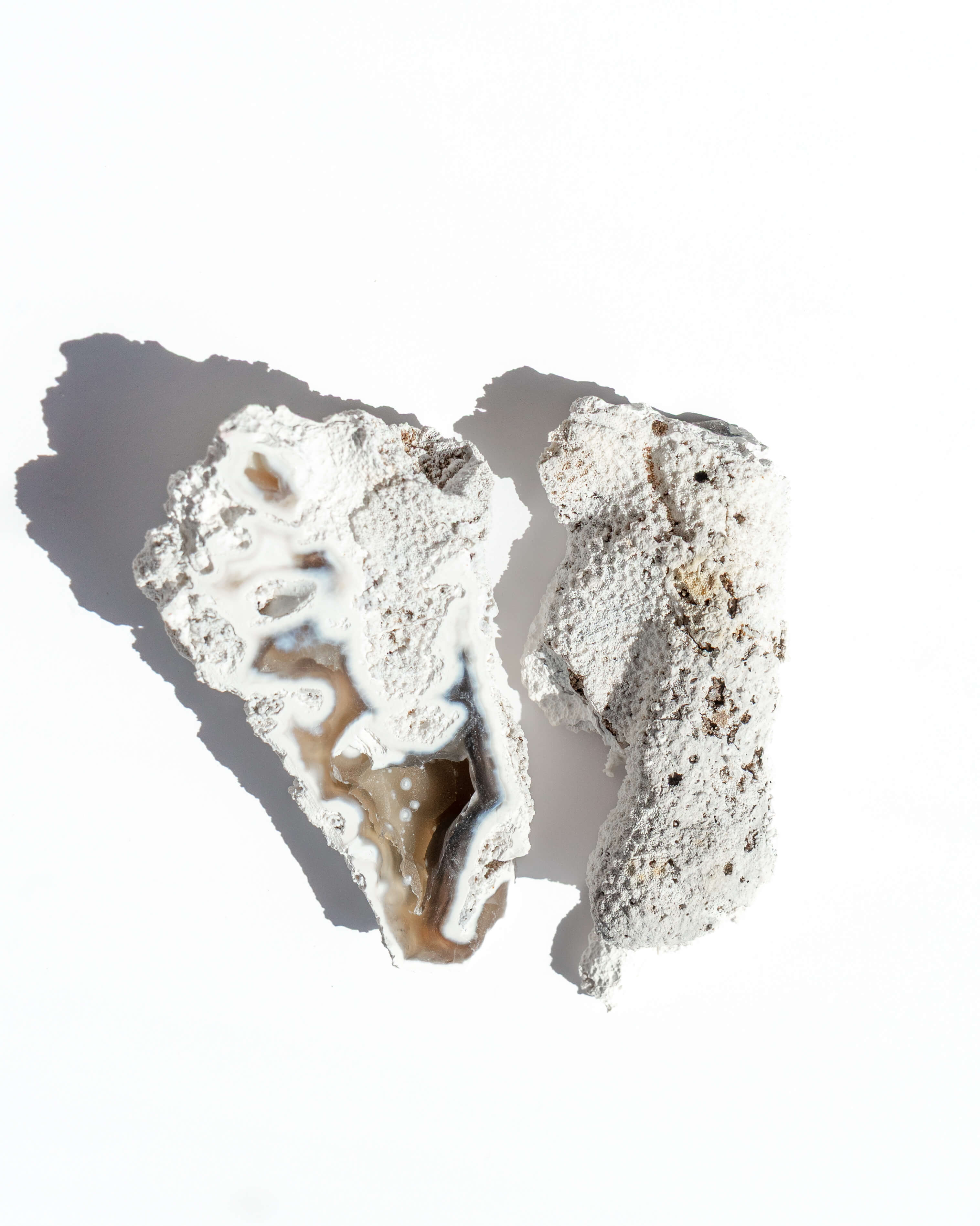 Agatized Coral Geode Pair - 35