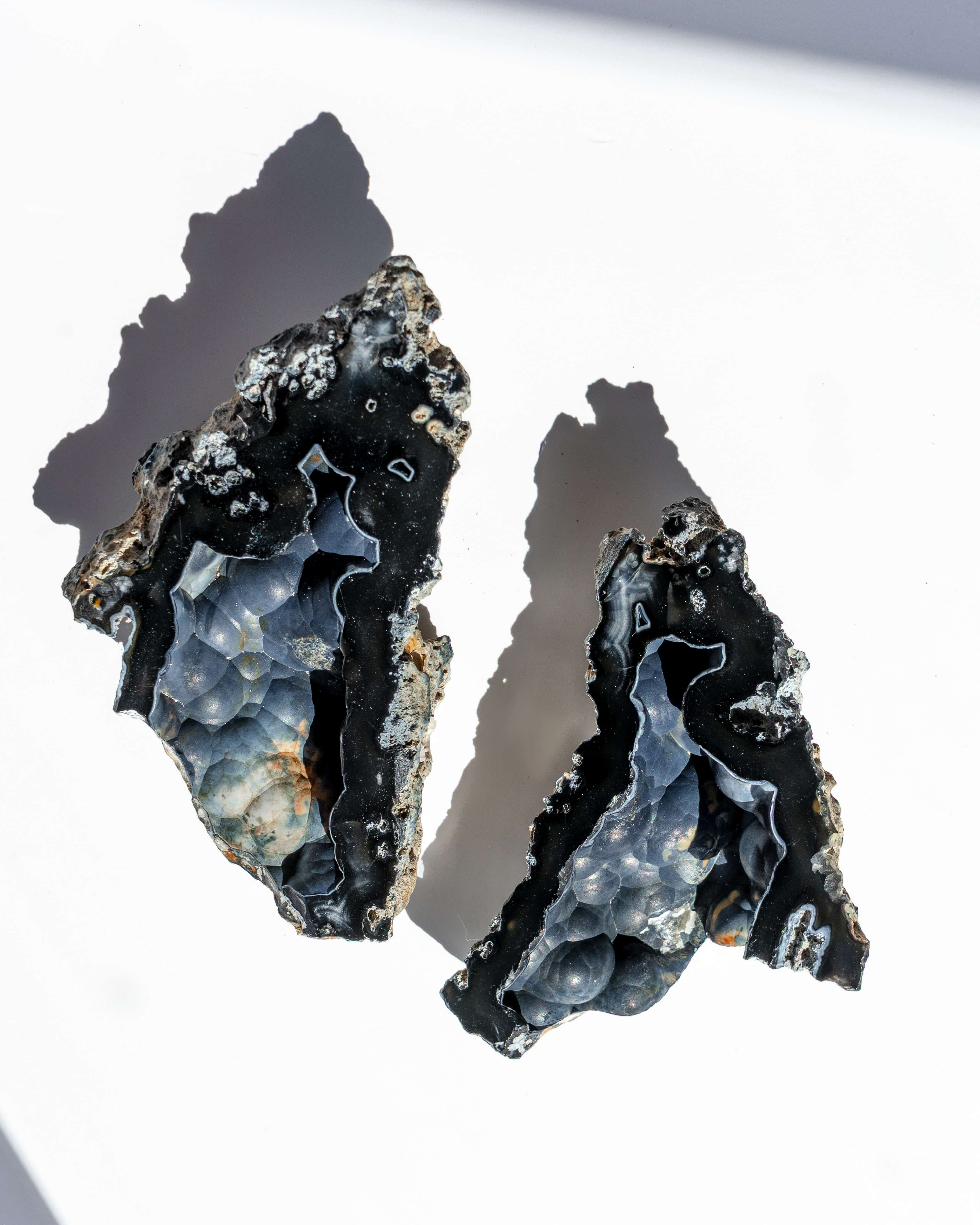 Agatized Coral Geode Pair - 105