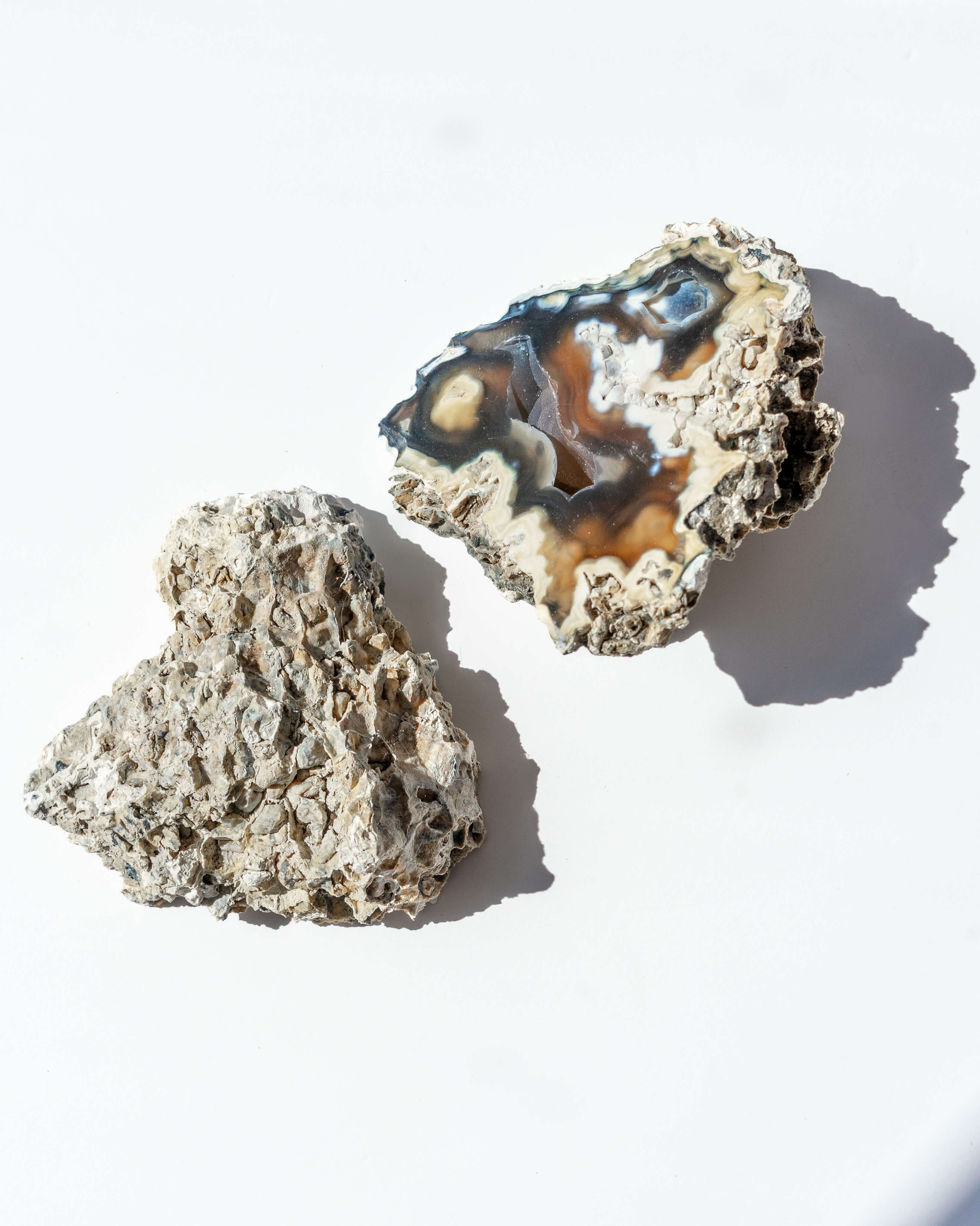 Agatized Coral Geode Pair - 88B