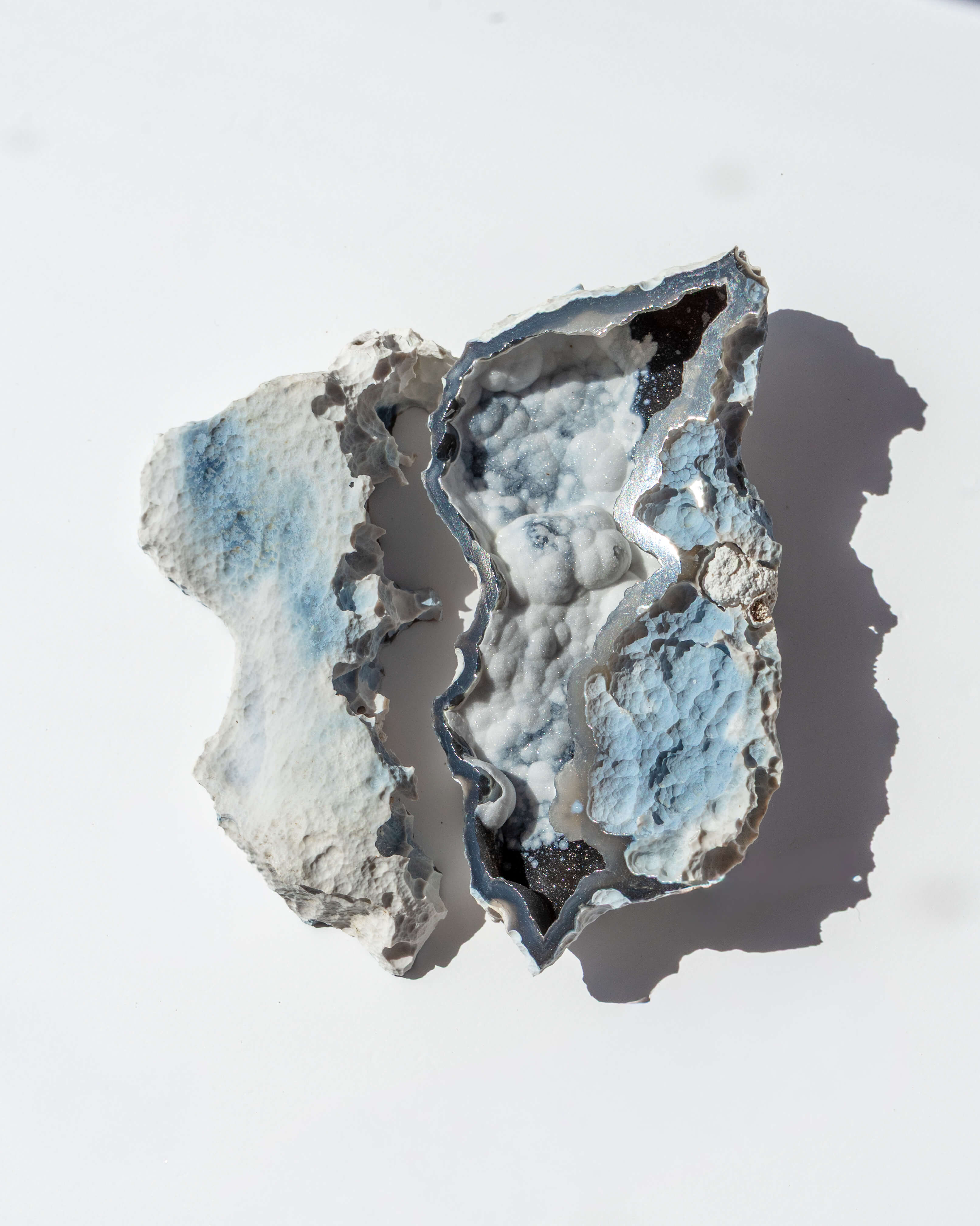 Agatized Coral Geode Pair - 41