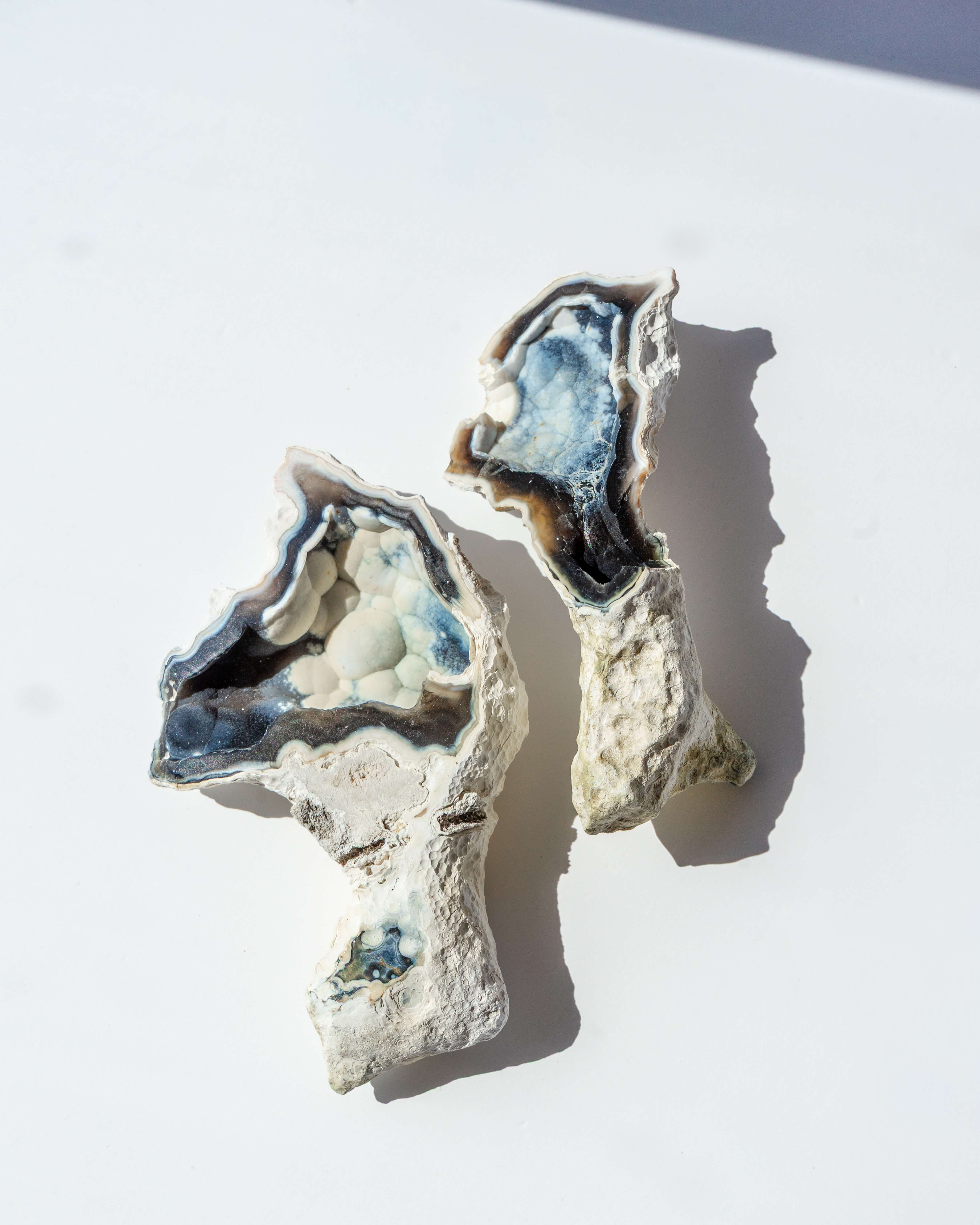 Agatized Coral Geode Pair - 52