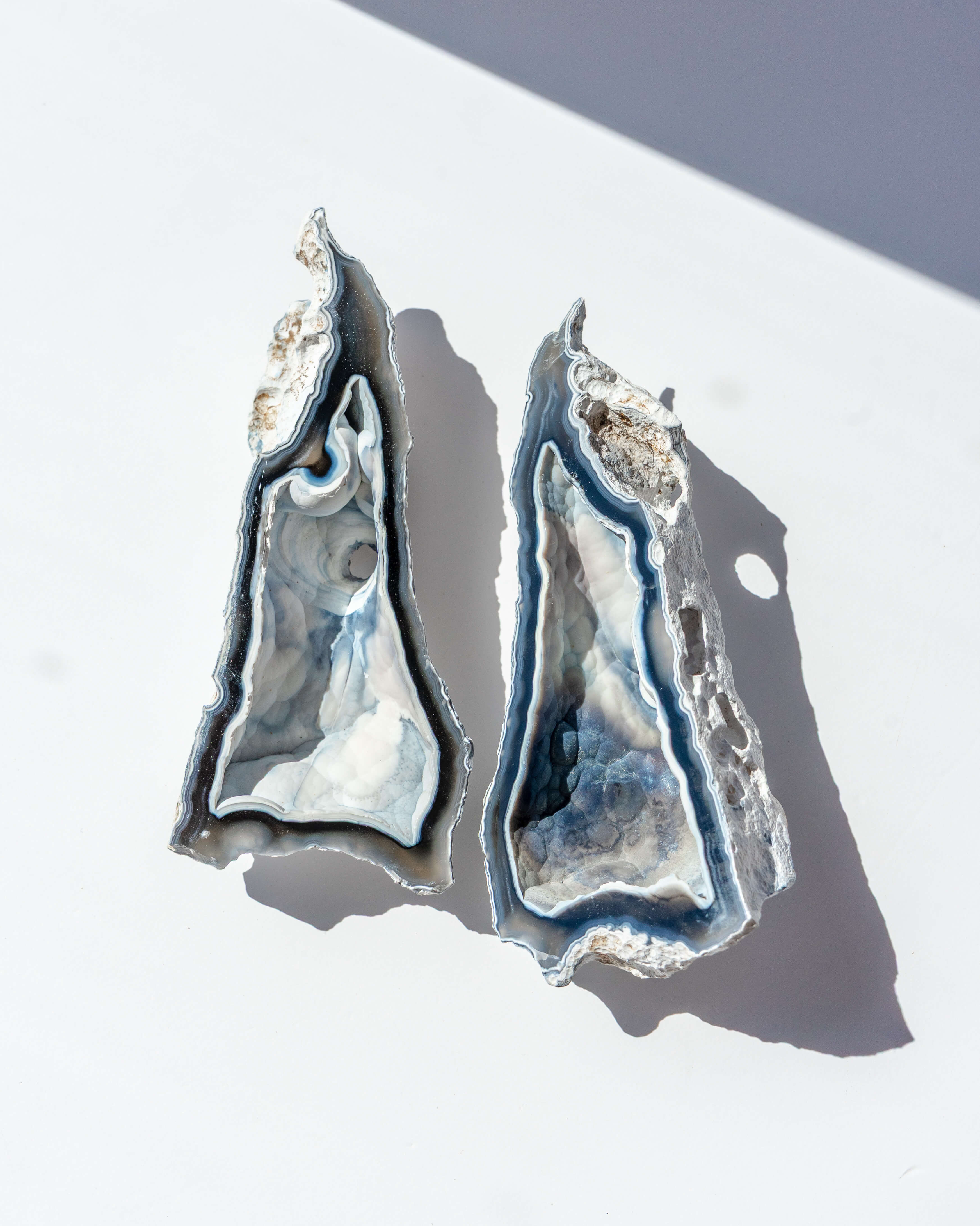 Agatized Coral Geode Pair - 88