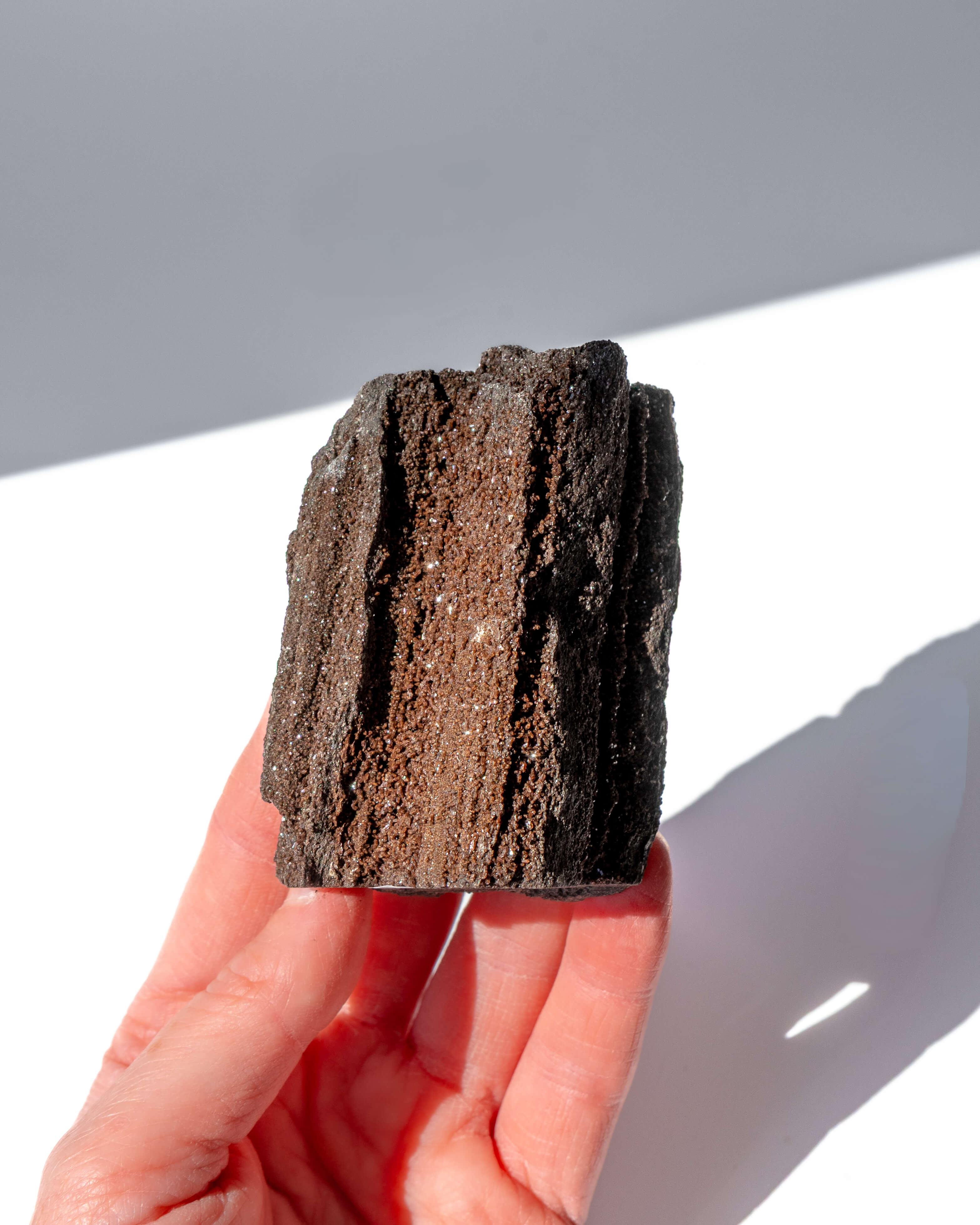 Petrified Mammoth Wood - 29A