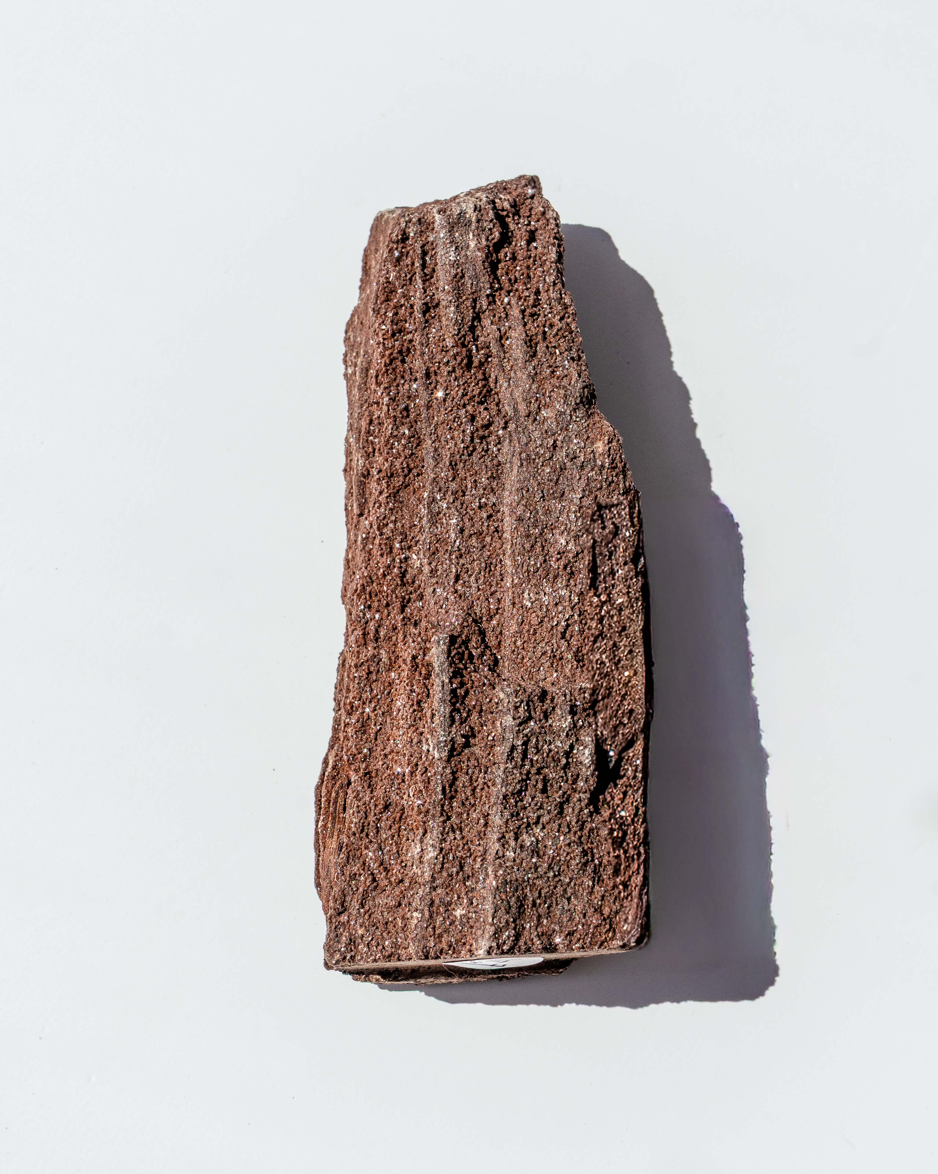 Petrified Mammoth Wood - 28