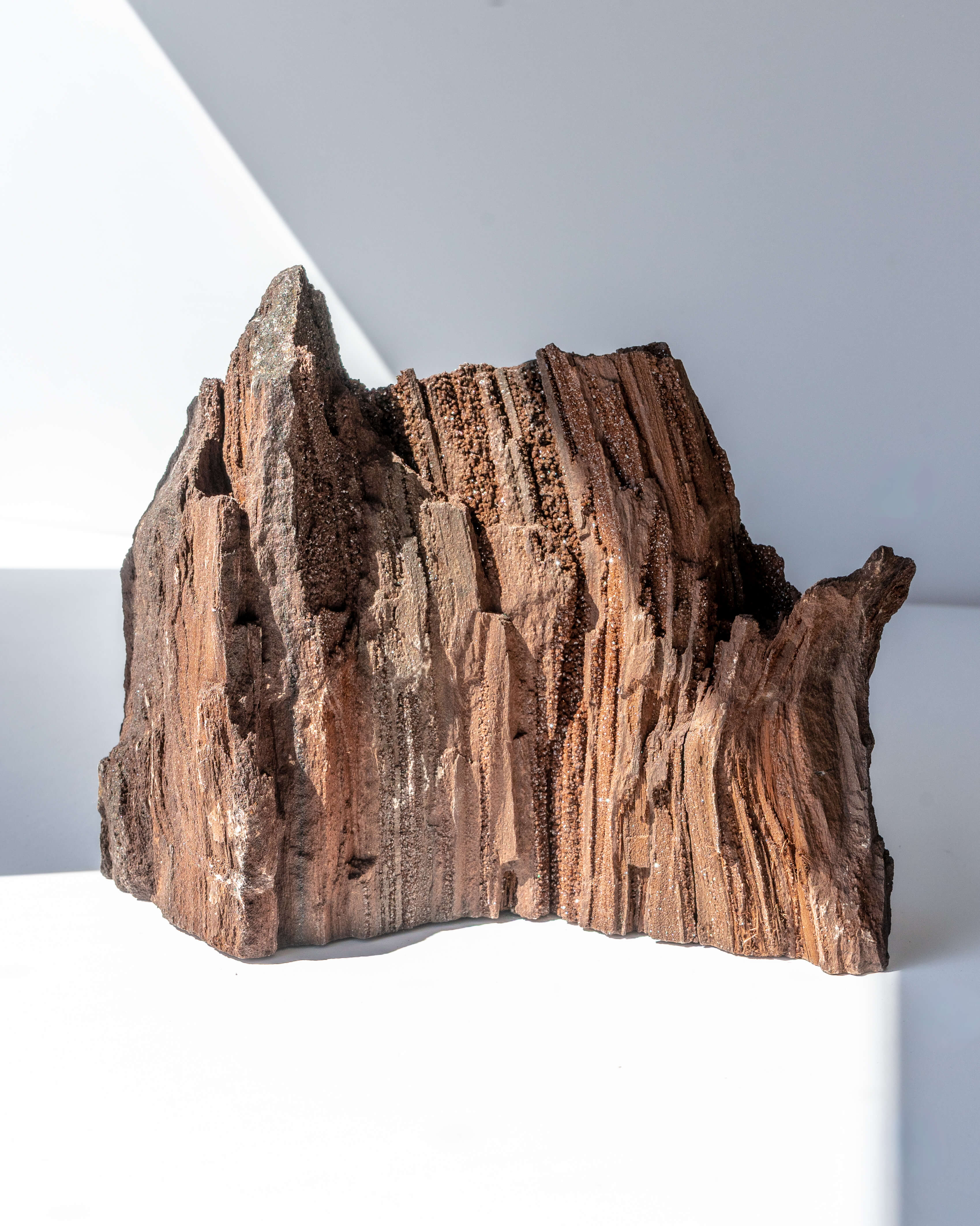 Petrified Mammoth Wood - 208