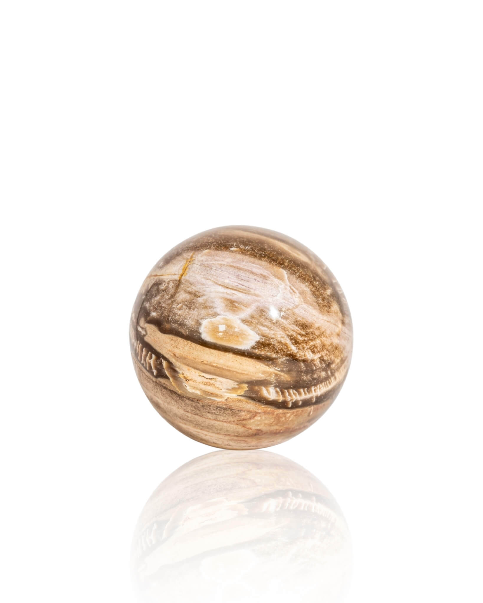 Petrified Wood Sphere - 33