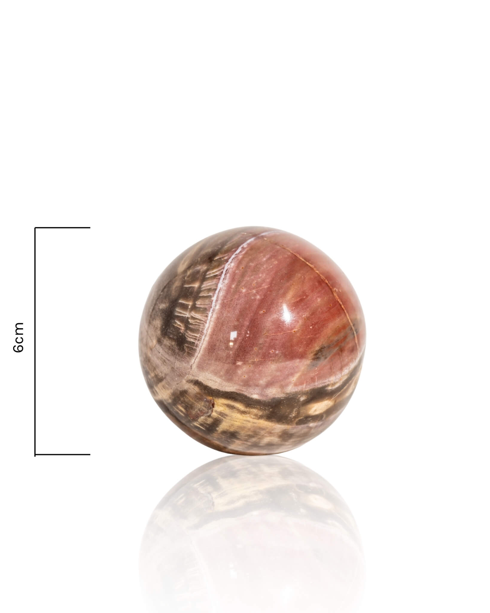Petrified Wood Sphere - 33