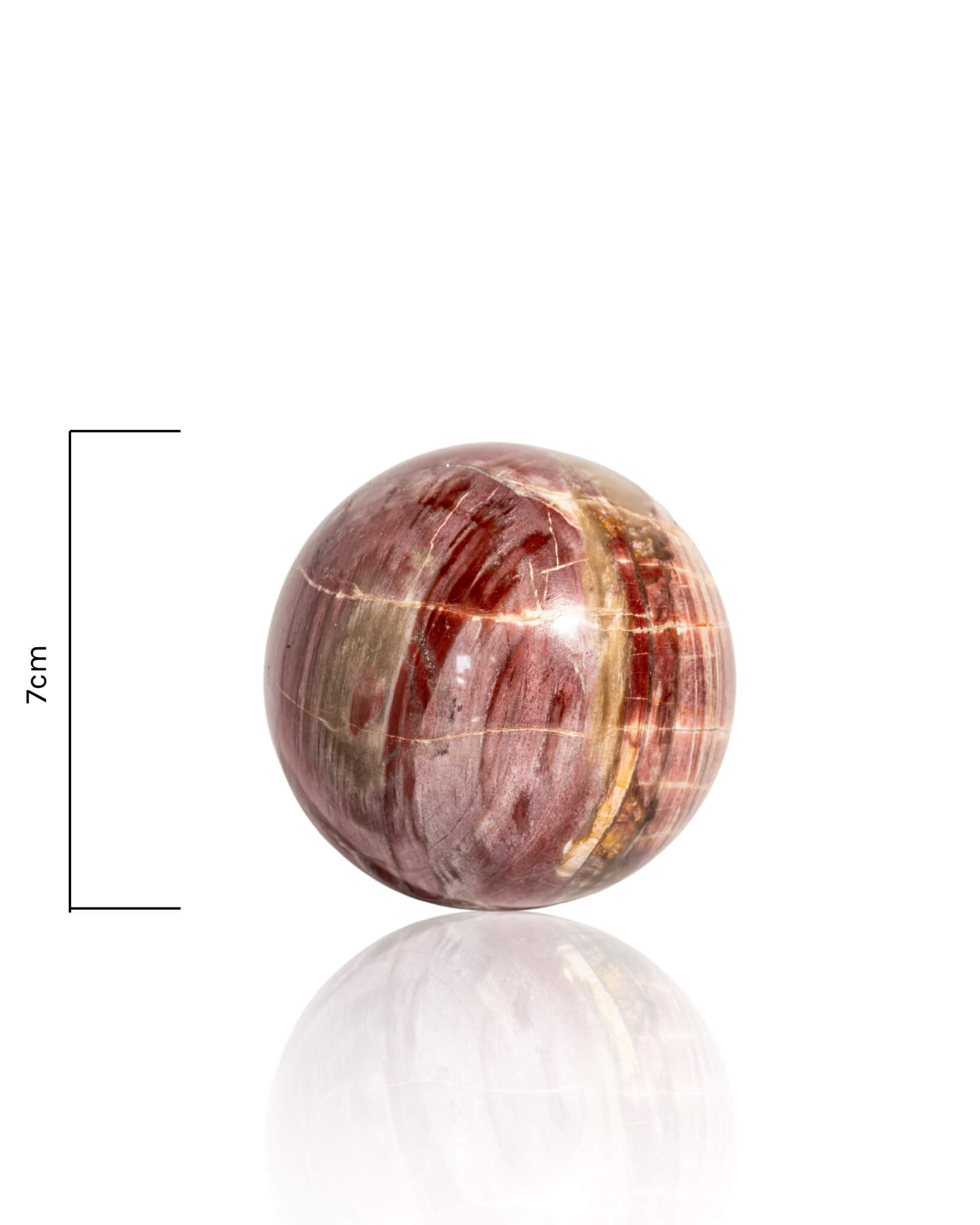 Petrified Wood Sphere - 39
