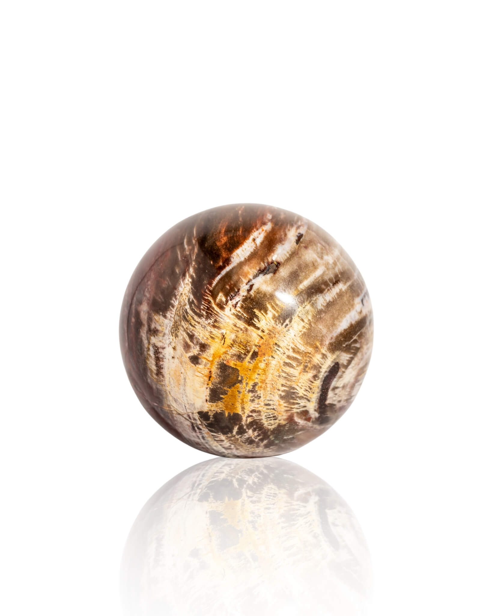 Petrified Wood Sphere - 45