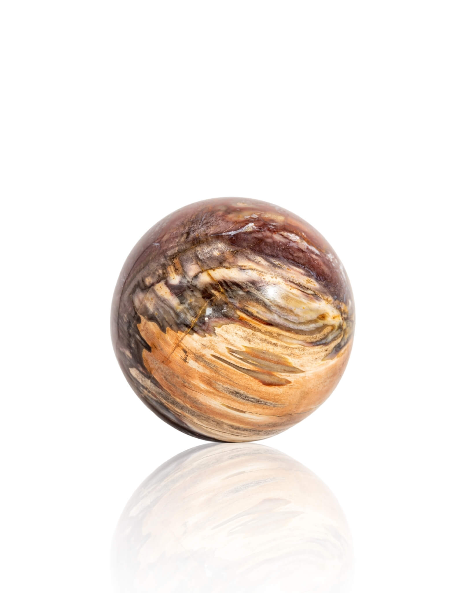 Petrified Wood Sphere - 46