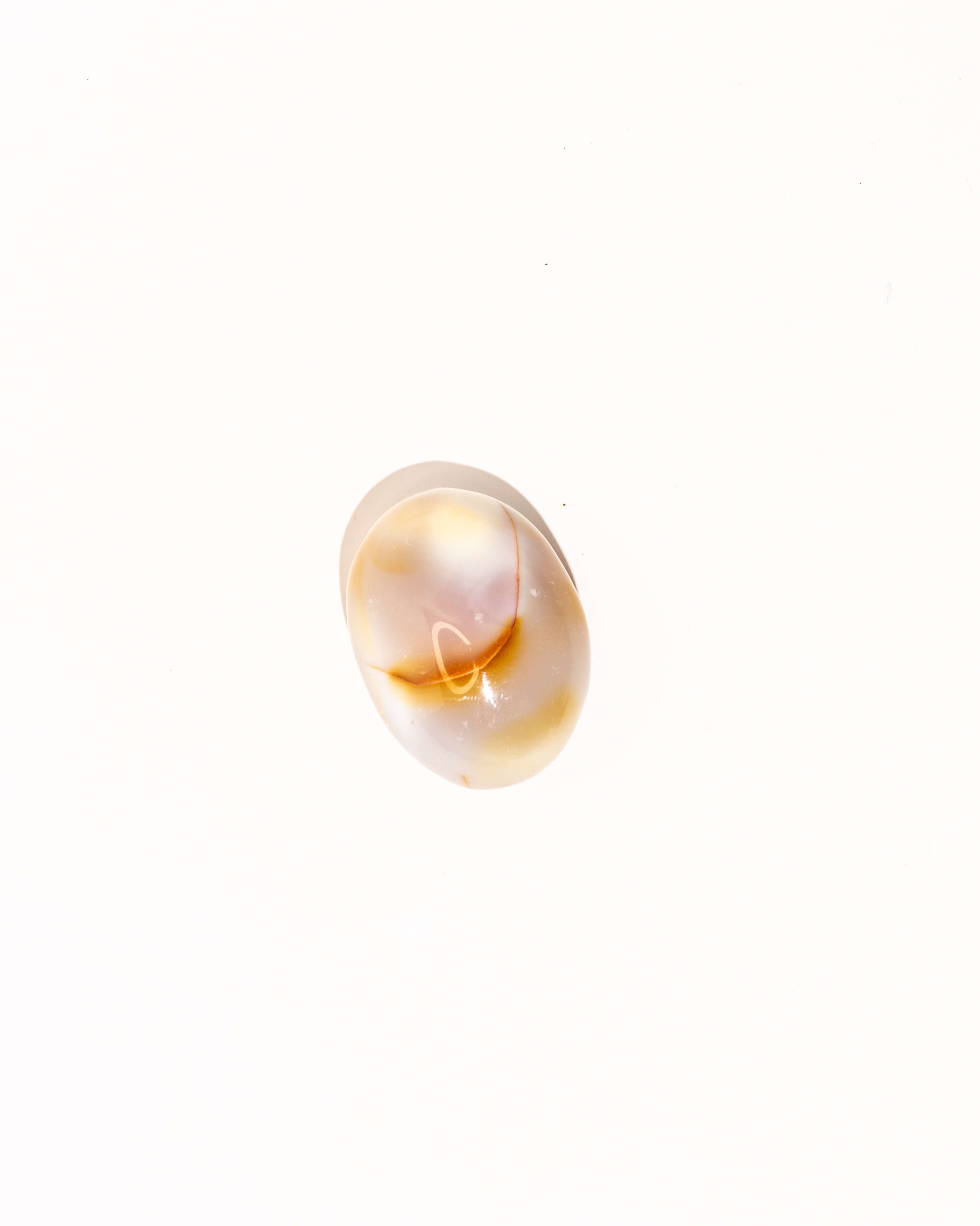 Pastel Orca Agate Carnelian - 9D