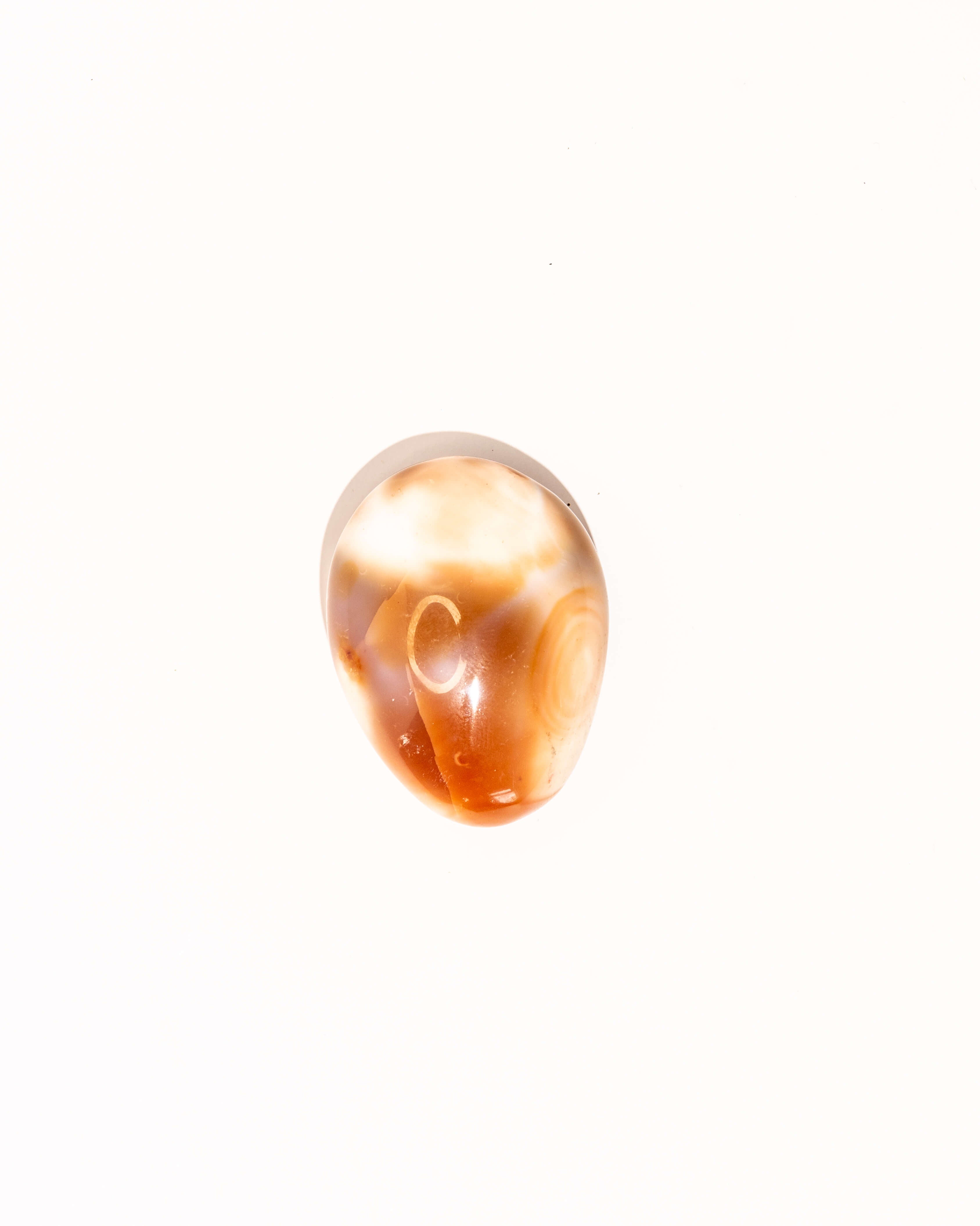Pastel Orca Agate Carnelian - 11B