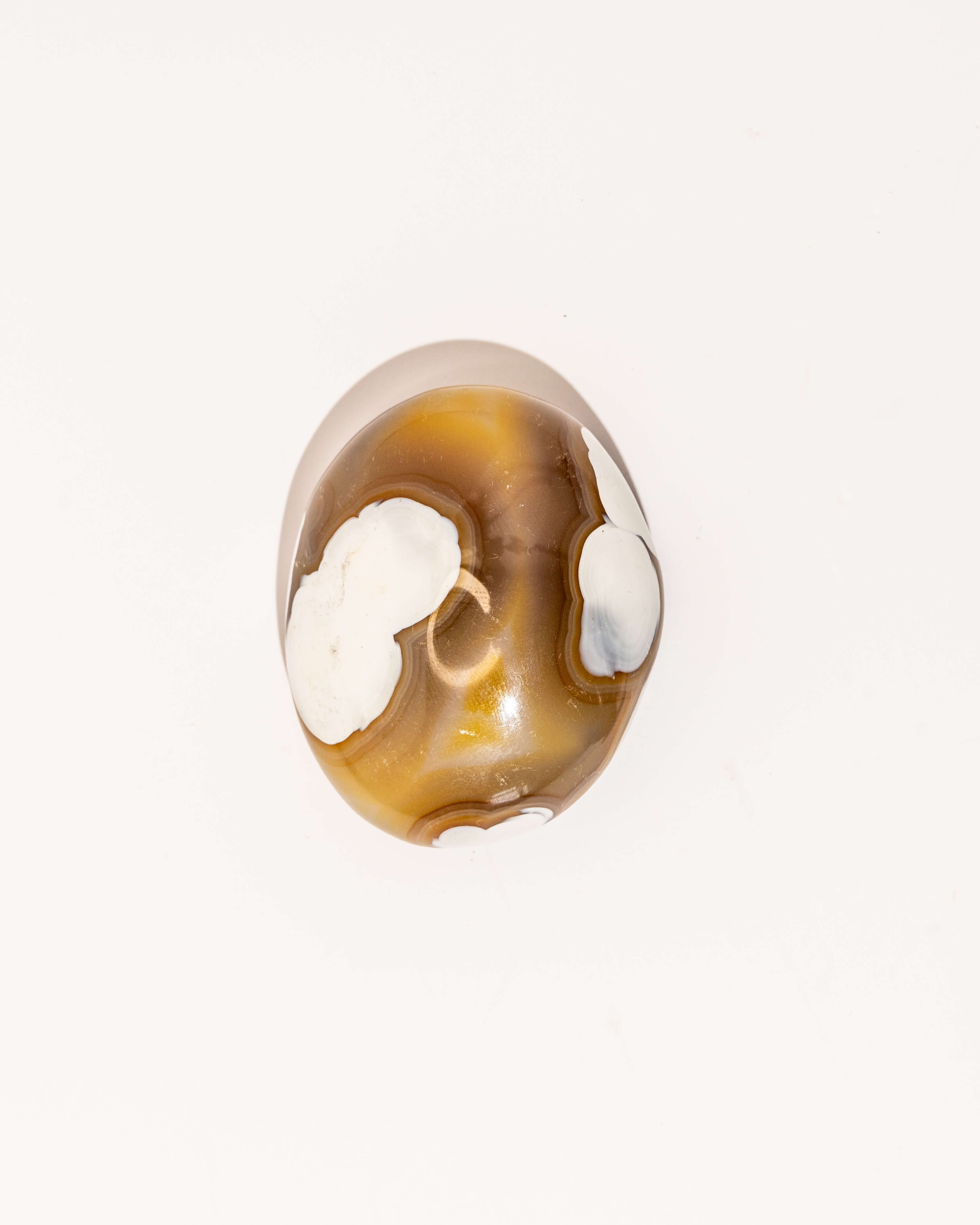 Orca Agate Carnelian - 17