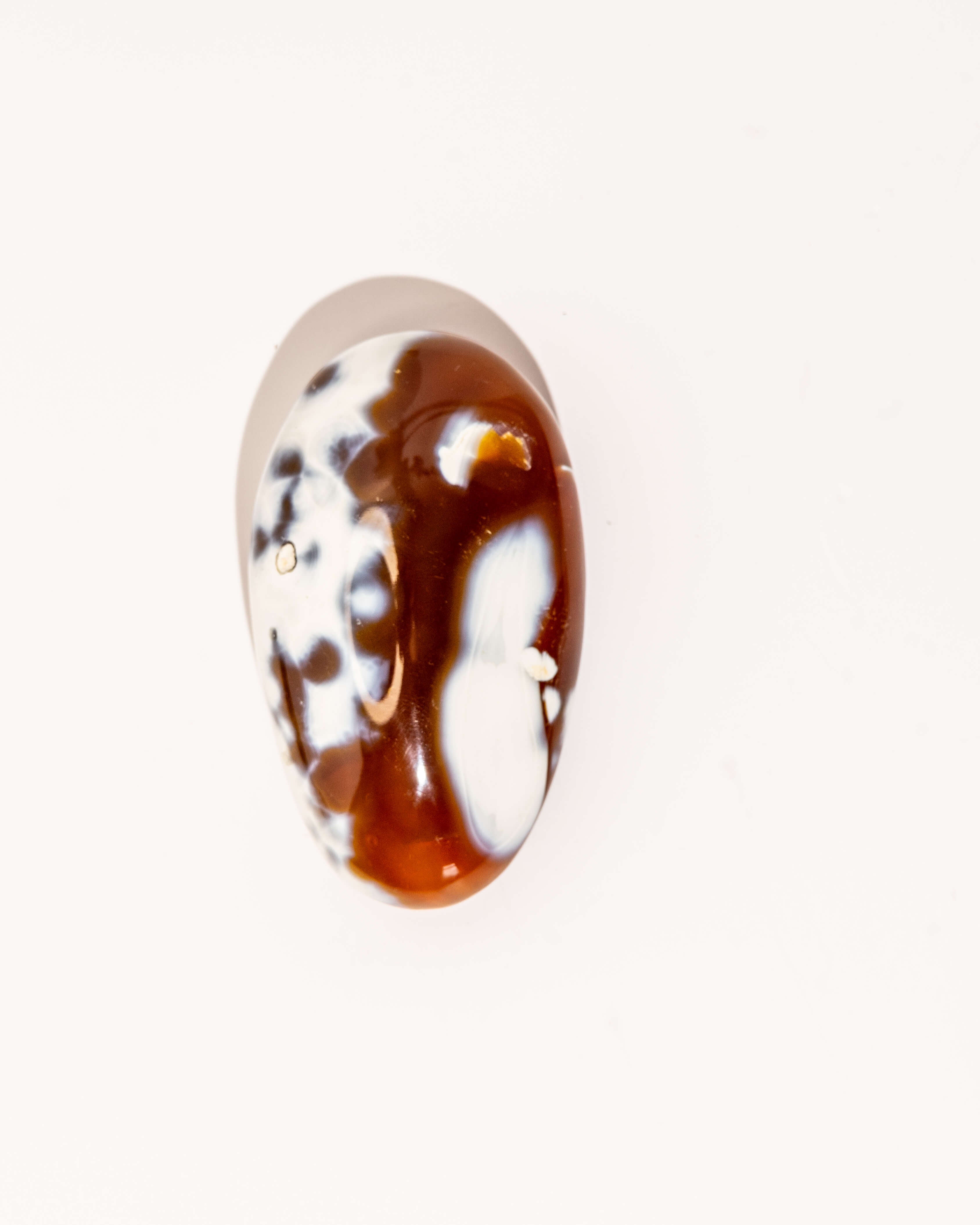 Orca Agate Carnelian - 22