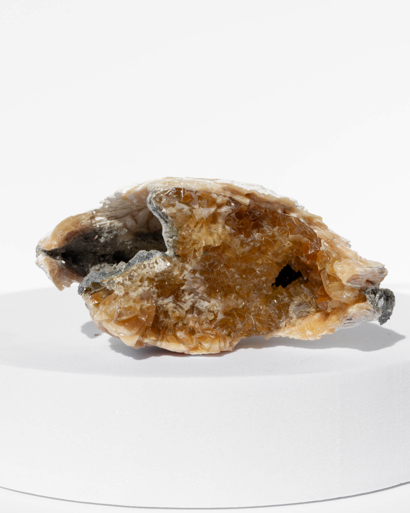 Fossilised Clam Shell With Calcite Healing Crystal