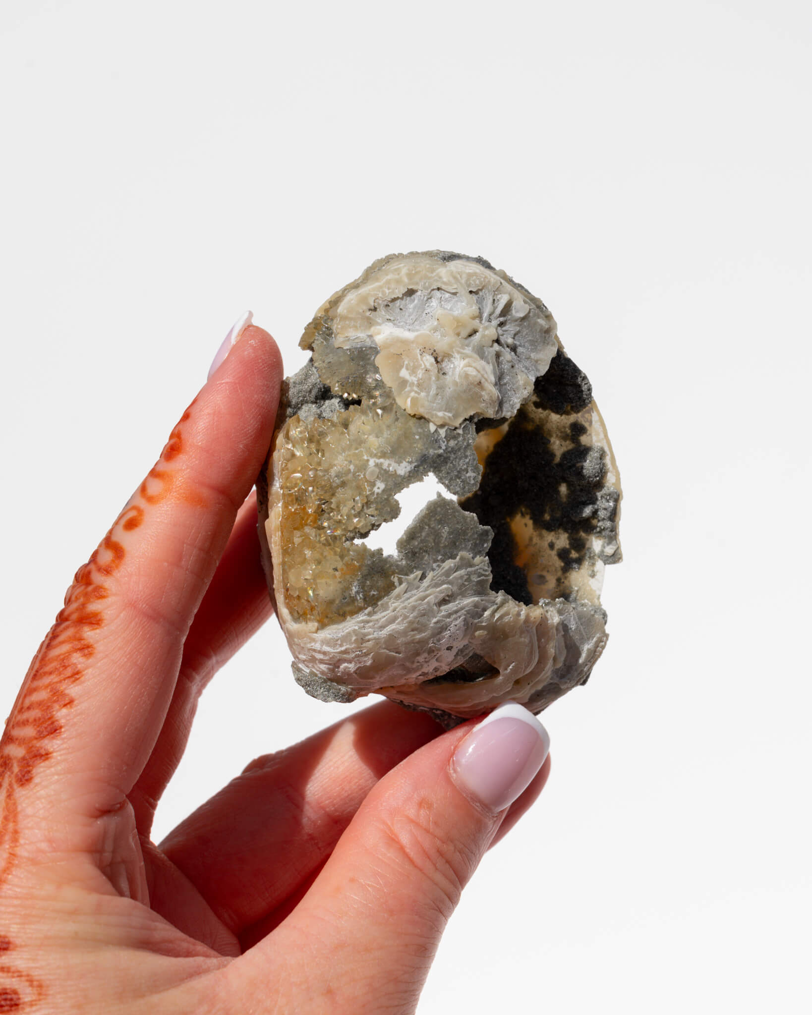 Fossilised Clam Shell With Calcite Healing Crystal