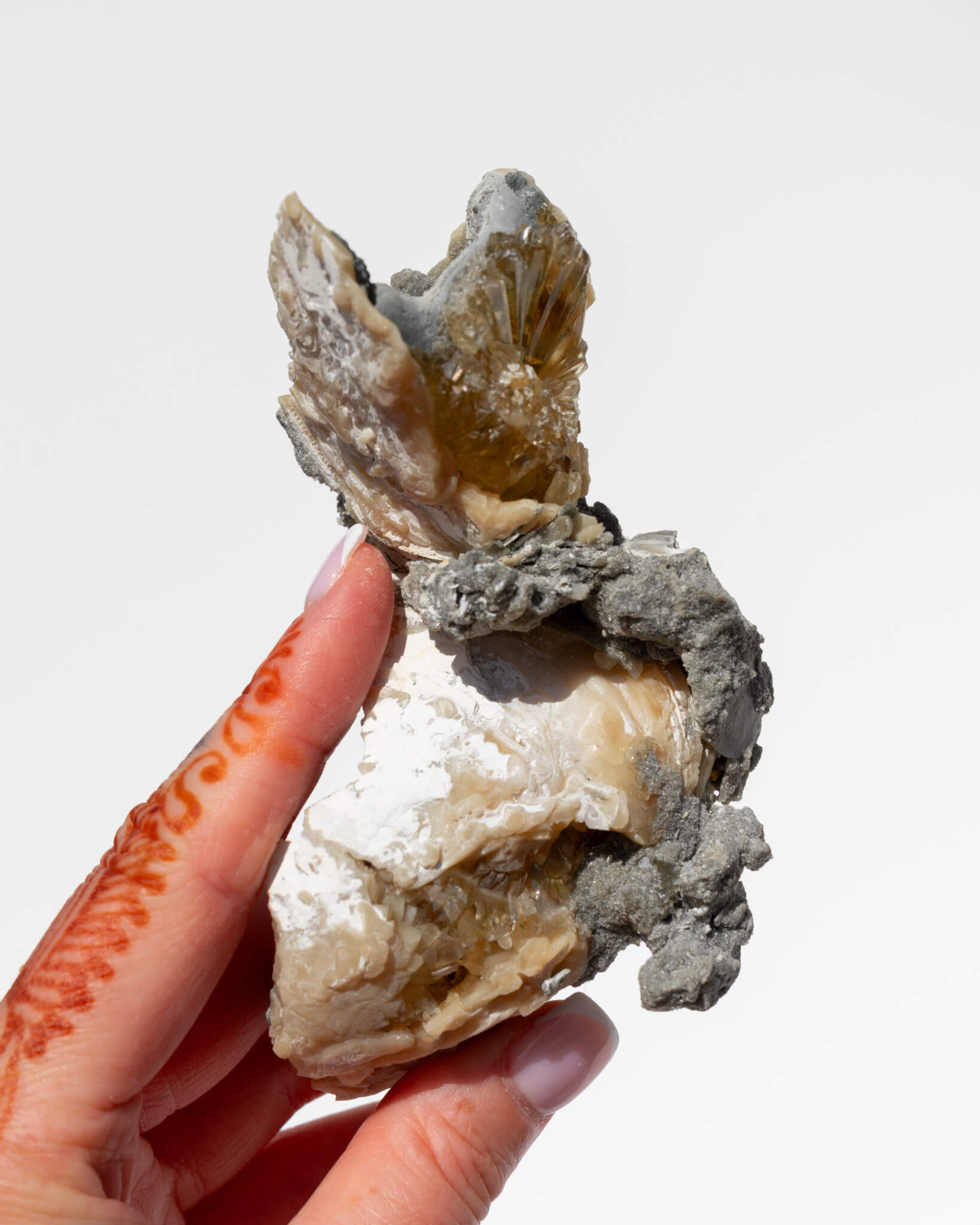 Fossilised Clam Shell With Calcite Healing Crystal