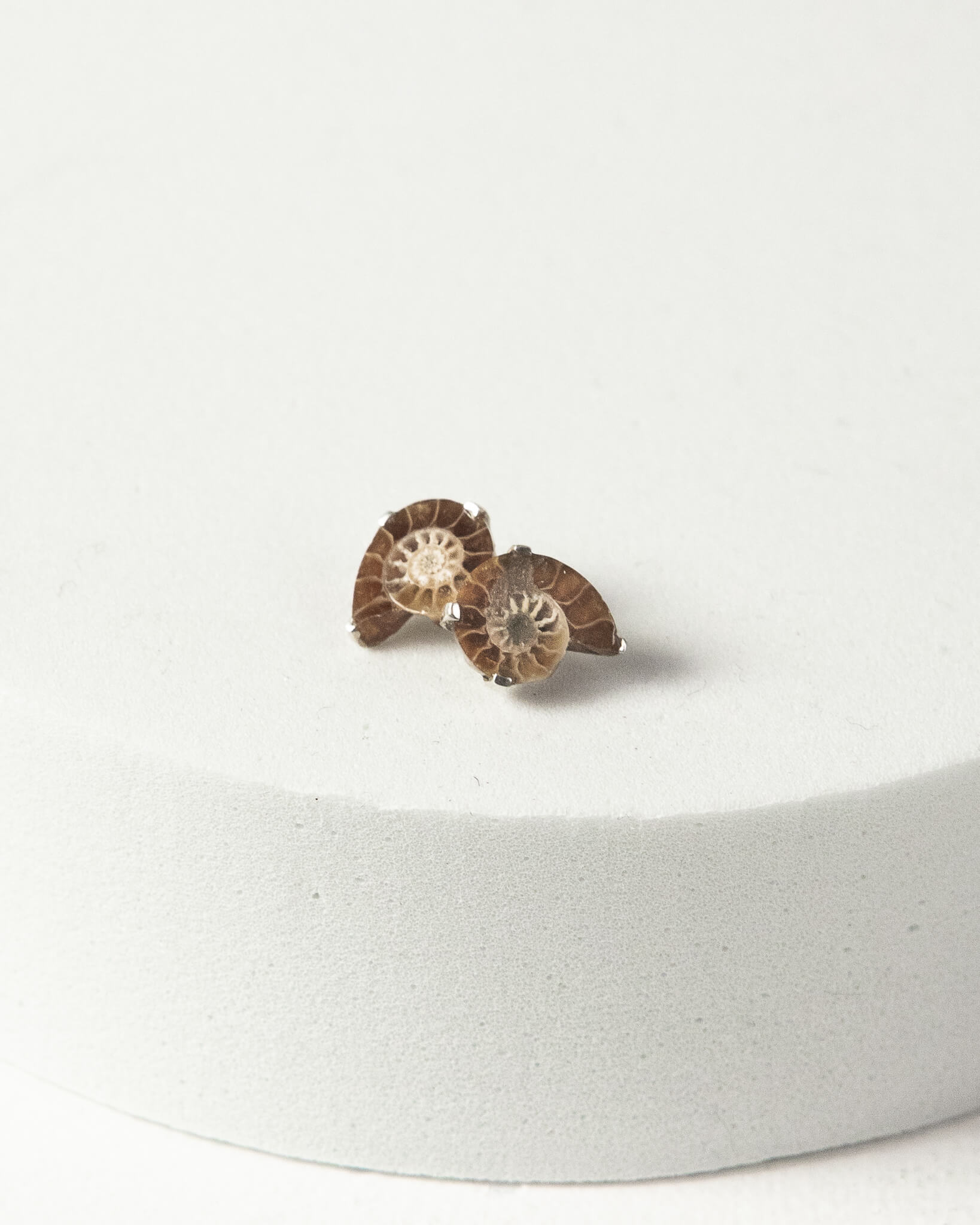 Ammonite Stud Earrings 925 Sterling Silver Healing Crystal