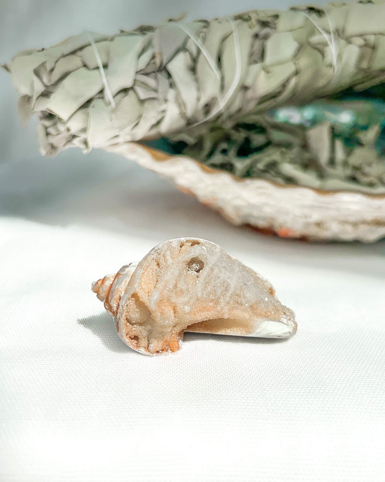 Fossilised Quartz Shell Healing Crystal