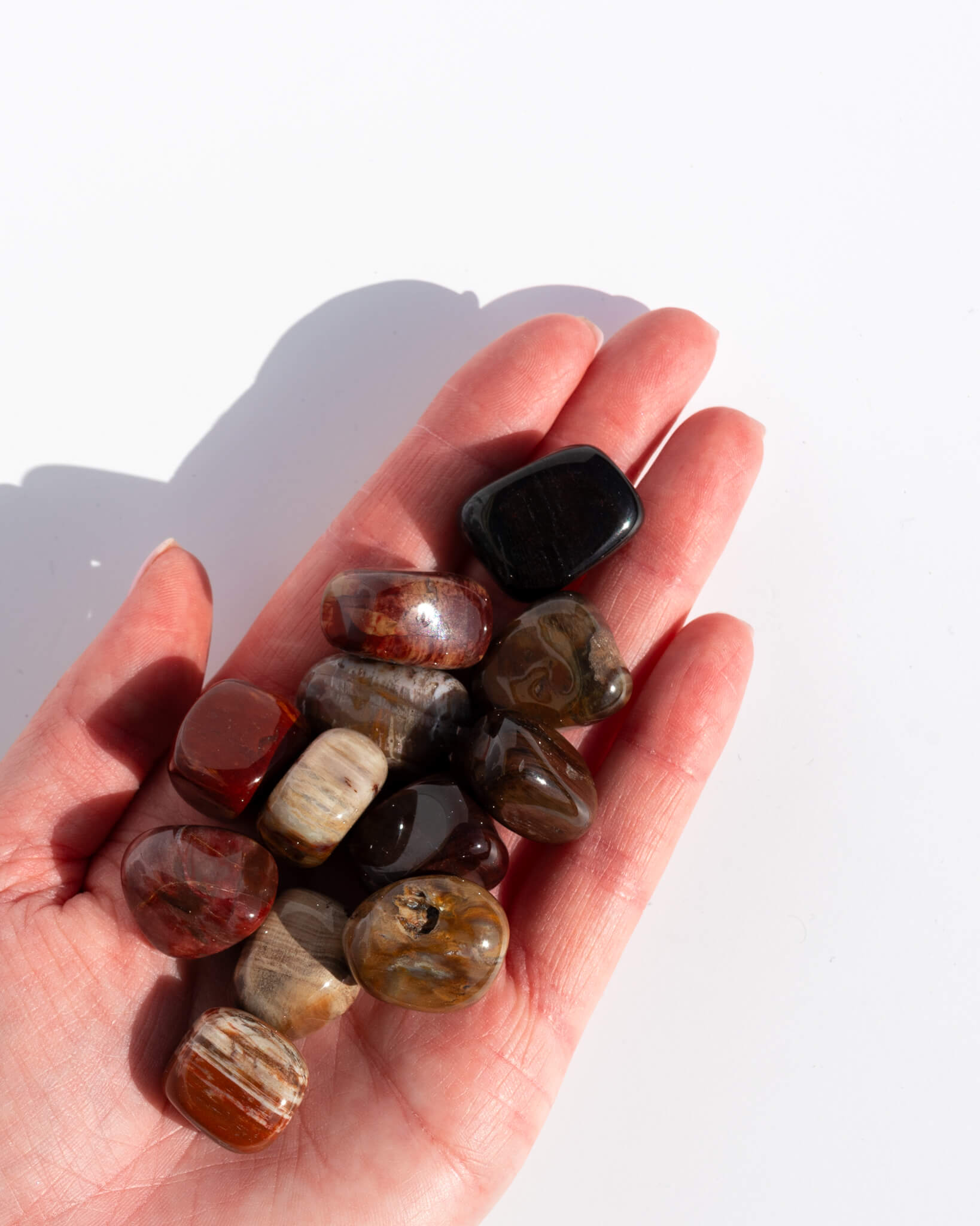 Petrified Wood Tumble Stone Healing Crystal