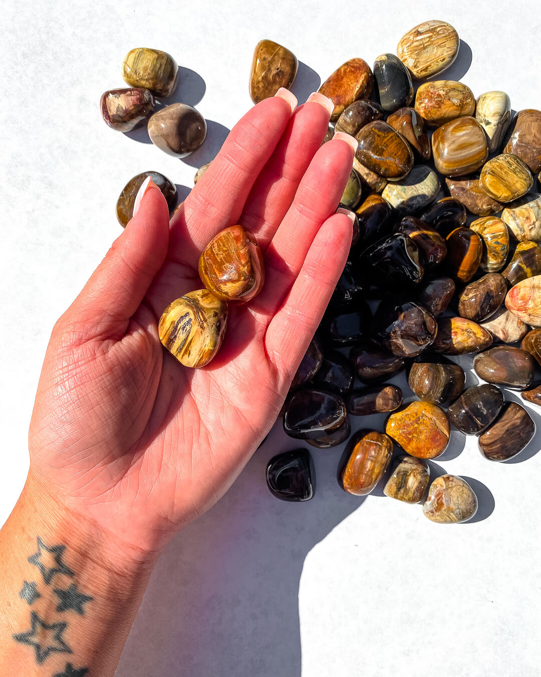 Petrified Wood Tumble Stone Healing Crystal