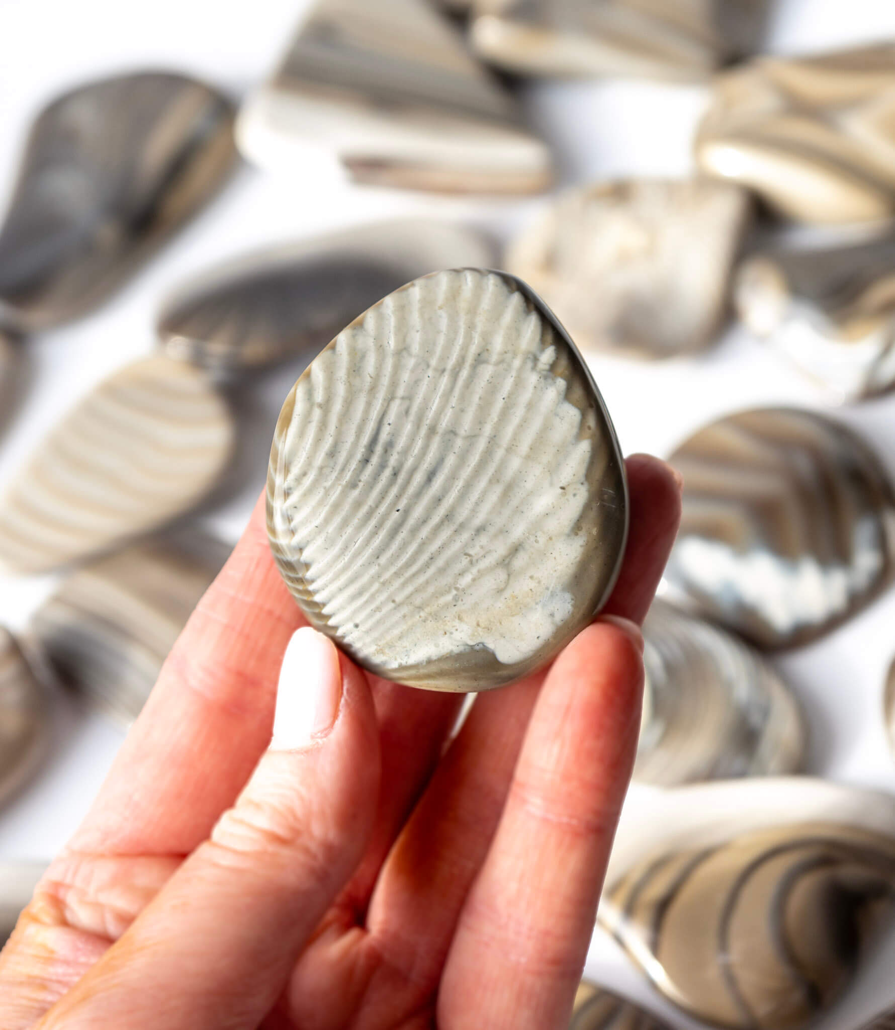 Flint Palm Stone Healing Crystal