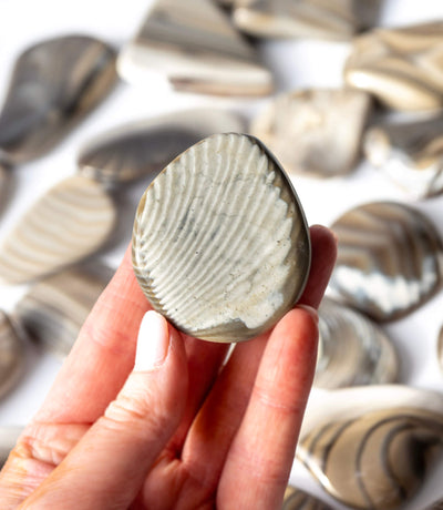 Flint Palm Stone Healing Crystal
