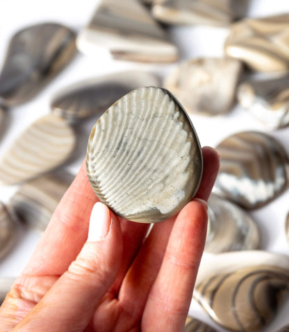 Flint Palm Stone Healing Crystal