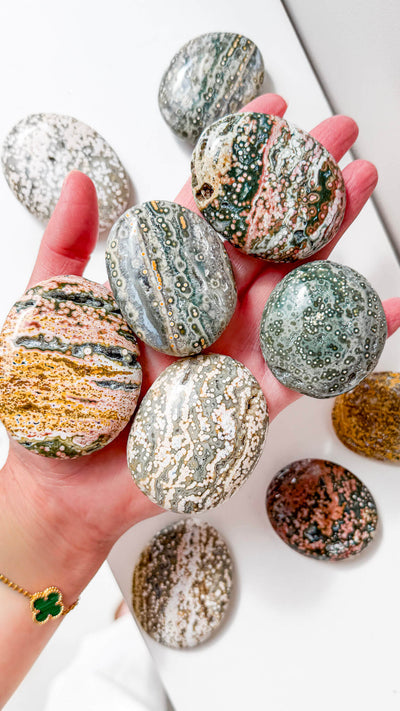 Ocean Jasper Palm