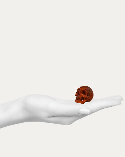 Thuya Wood Skull