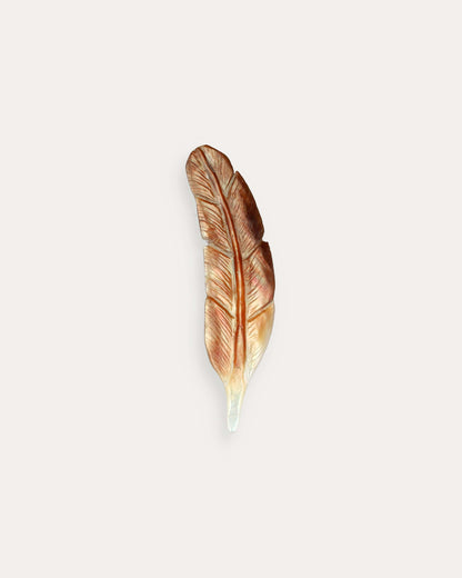 Abalone Feather - 38