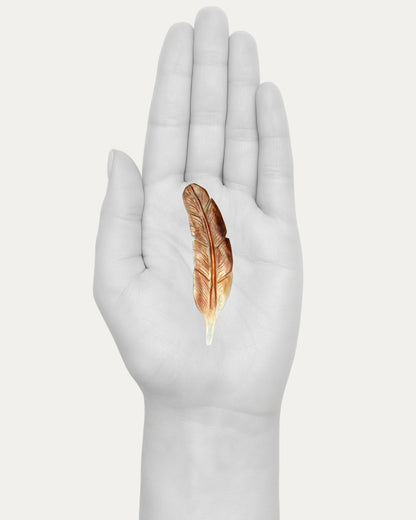 Abalone Feather - 38