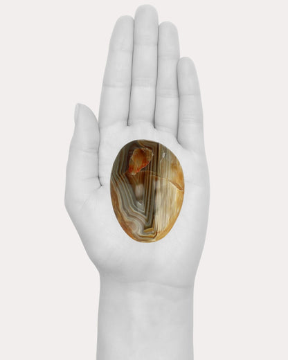 Agate Palm Stone - 8H